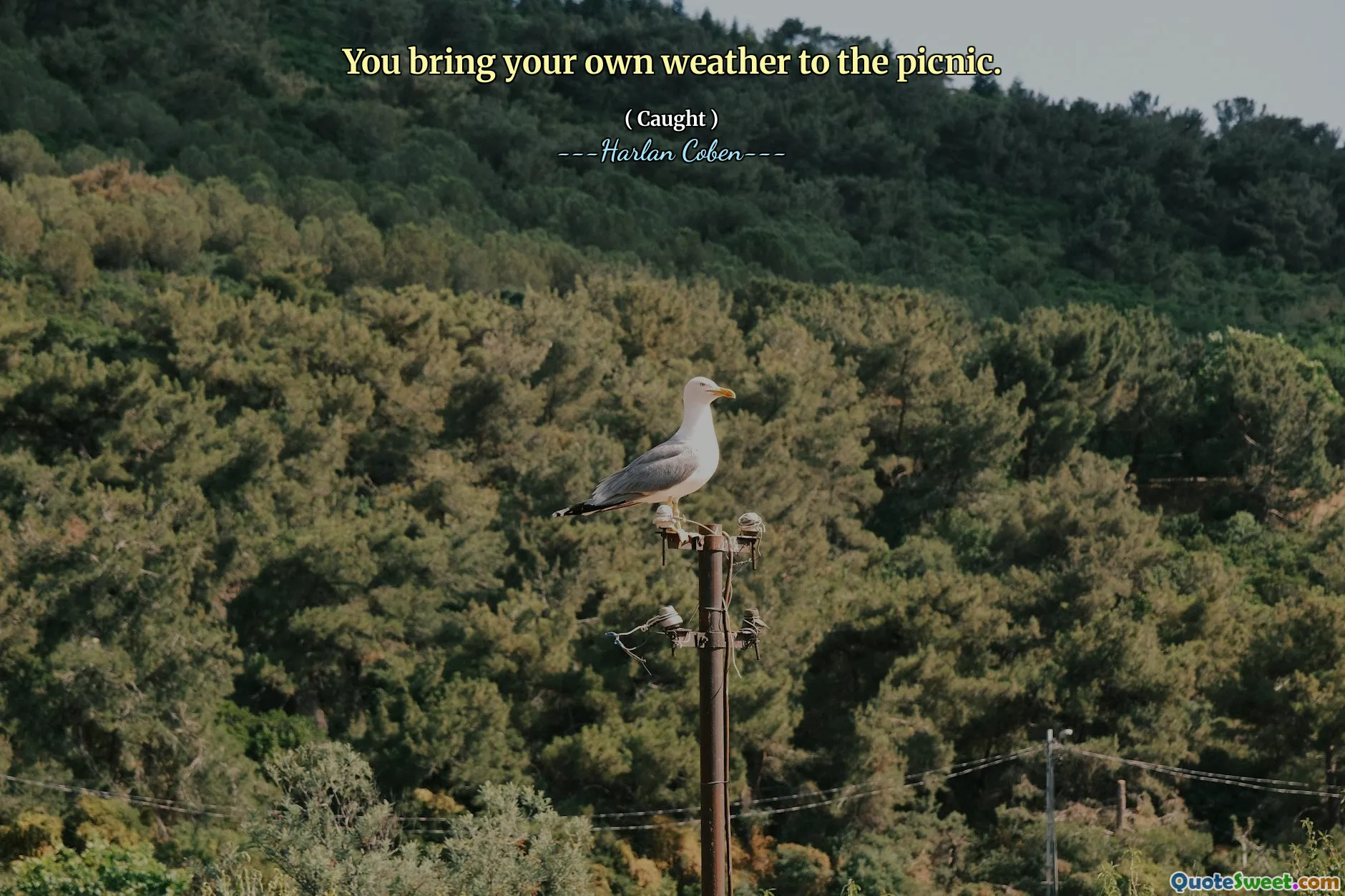 You bring your own weather to the picnic.