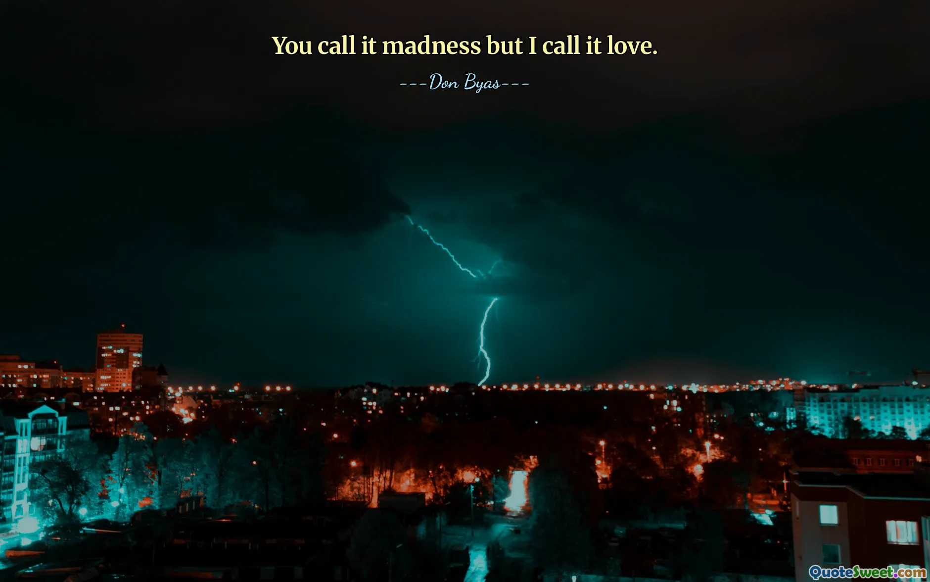 You call it madness but I call it love.