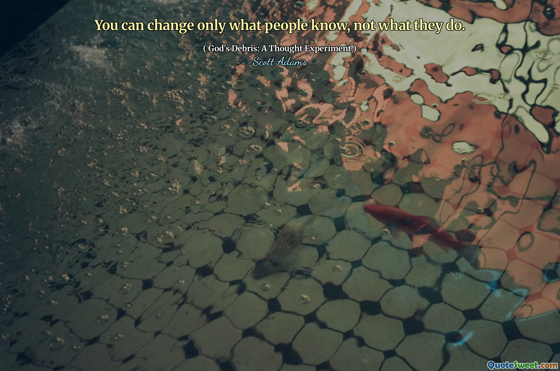 You can change only what people know, not what they do.