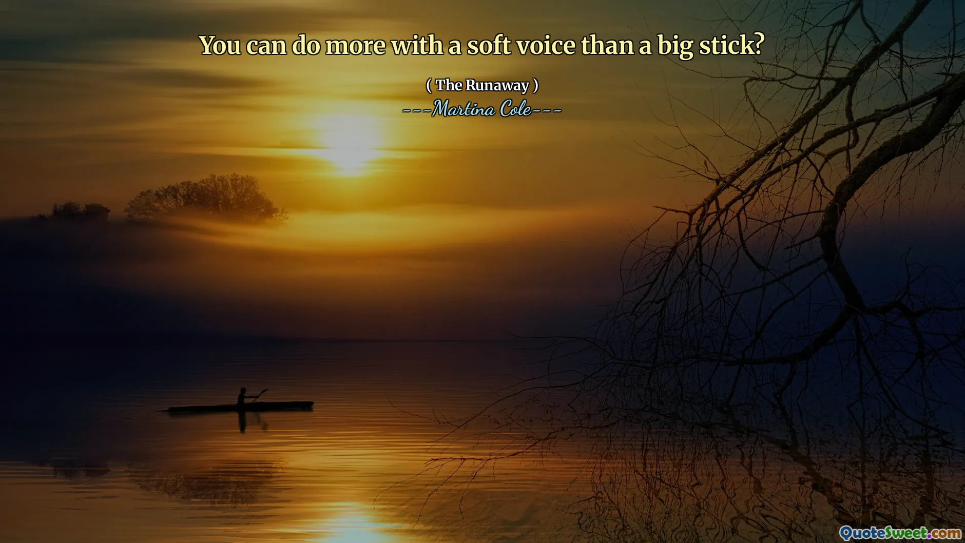 您可以用柔和的声音做更多的事情，而不是大棍子吗？