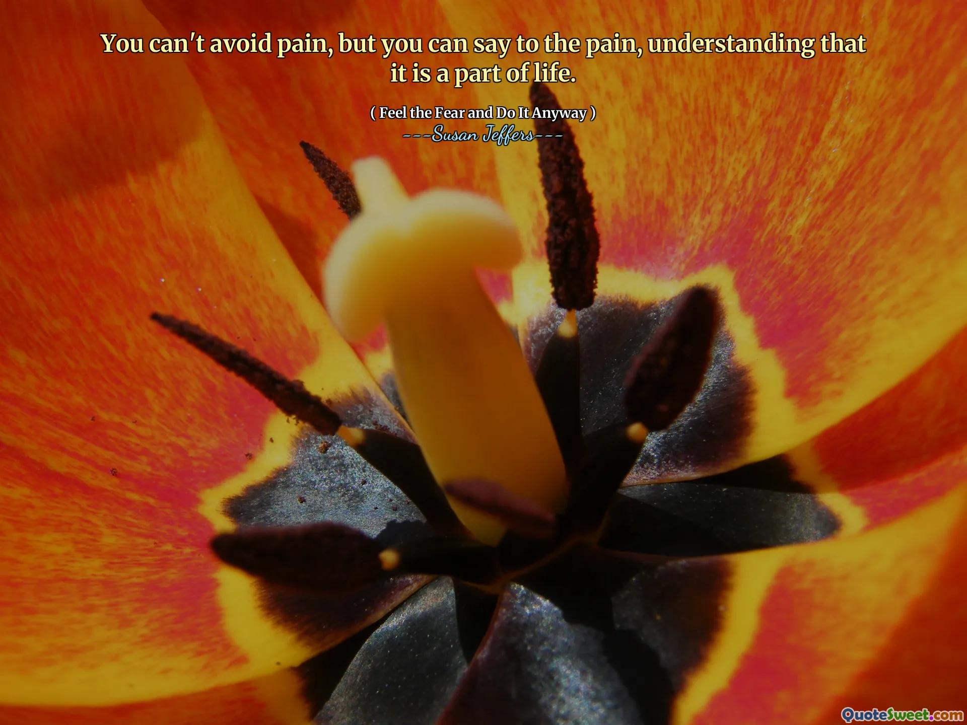 You can't avoid pain, but you can say to the pain, understanding that it is a part of life.
