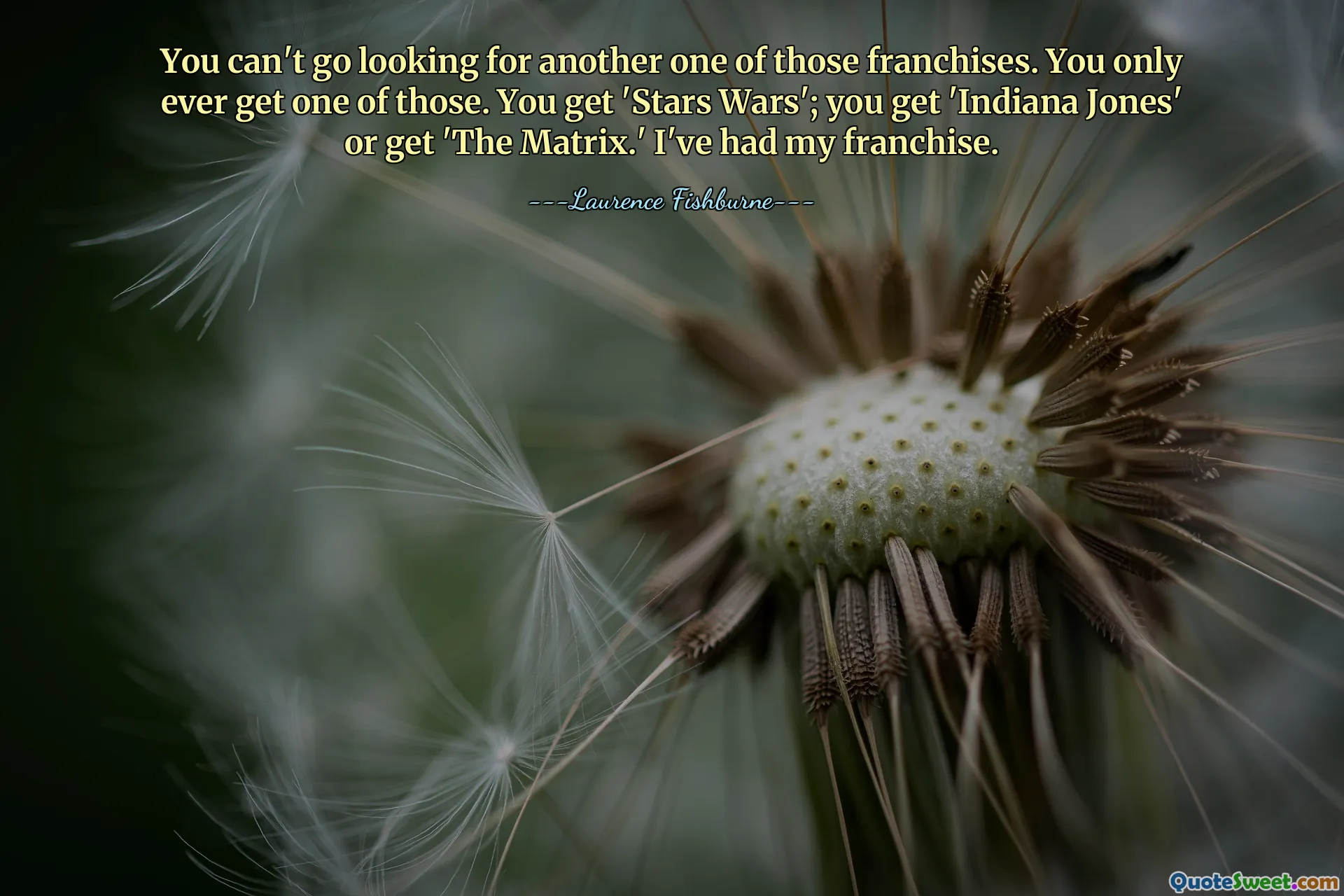 You can't go looking for another one of those franchises. You only ever get one of those. You get 'Stars Wars'; you get 'Indiana Jones' or get 'The Matrix.' I've had my franchise.