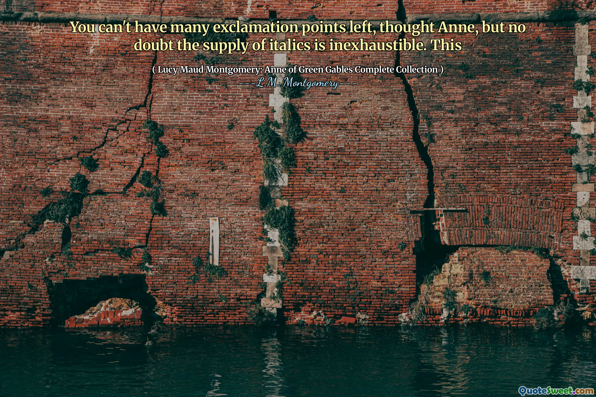 You can't have many exclamation points left, thought Anne, but no doubt the supply of italics is inexhaustible. This