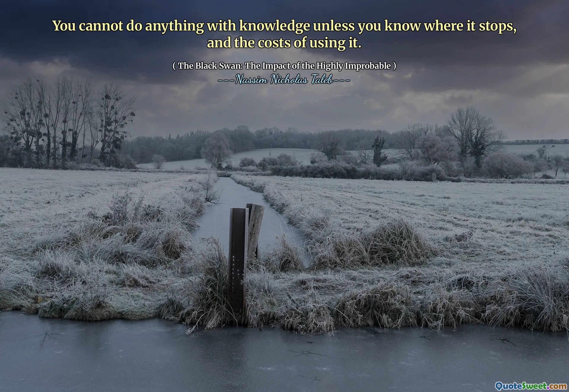 You cannot do anything with knowledge unless you know where it stops, and the costs of using it.