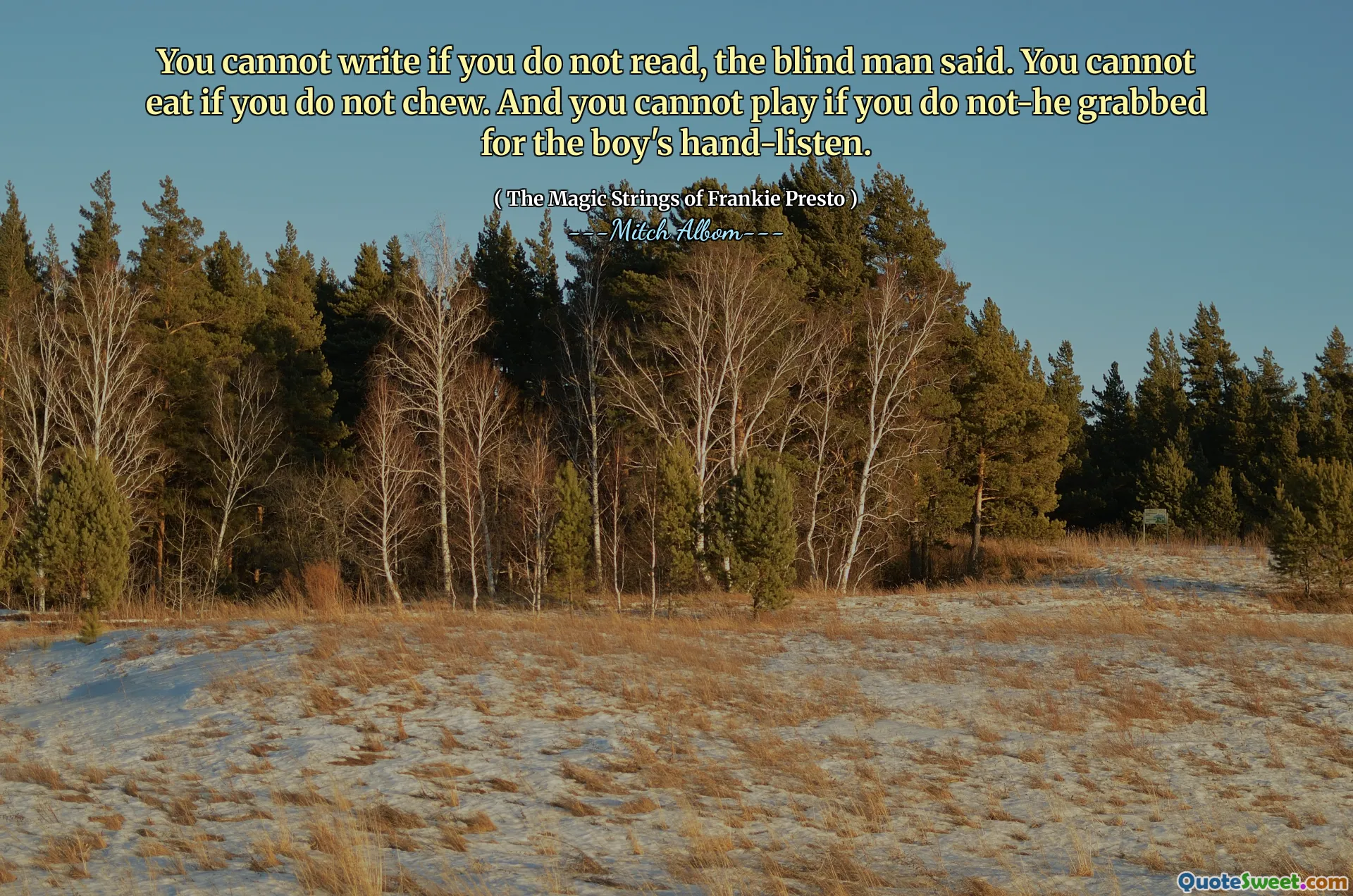 You cannot write if you do not read, the blind man said. You cannot eat if you do not chew. And you cannot play if you do not-he grabbed for the boy's hand-listen.
