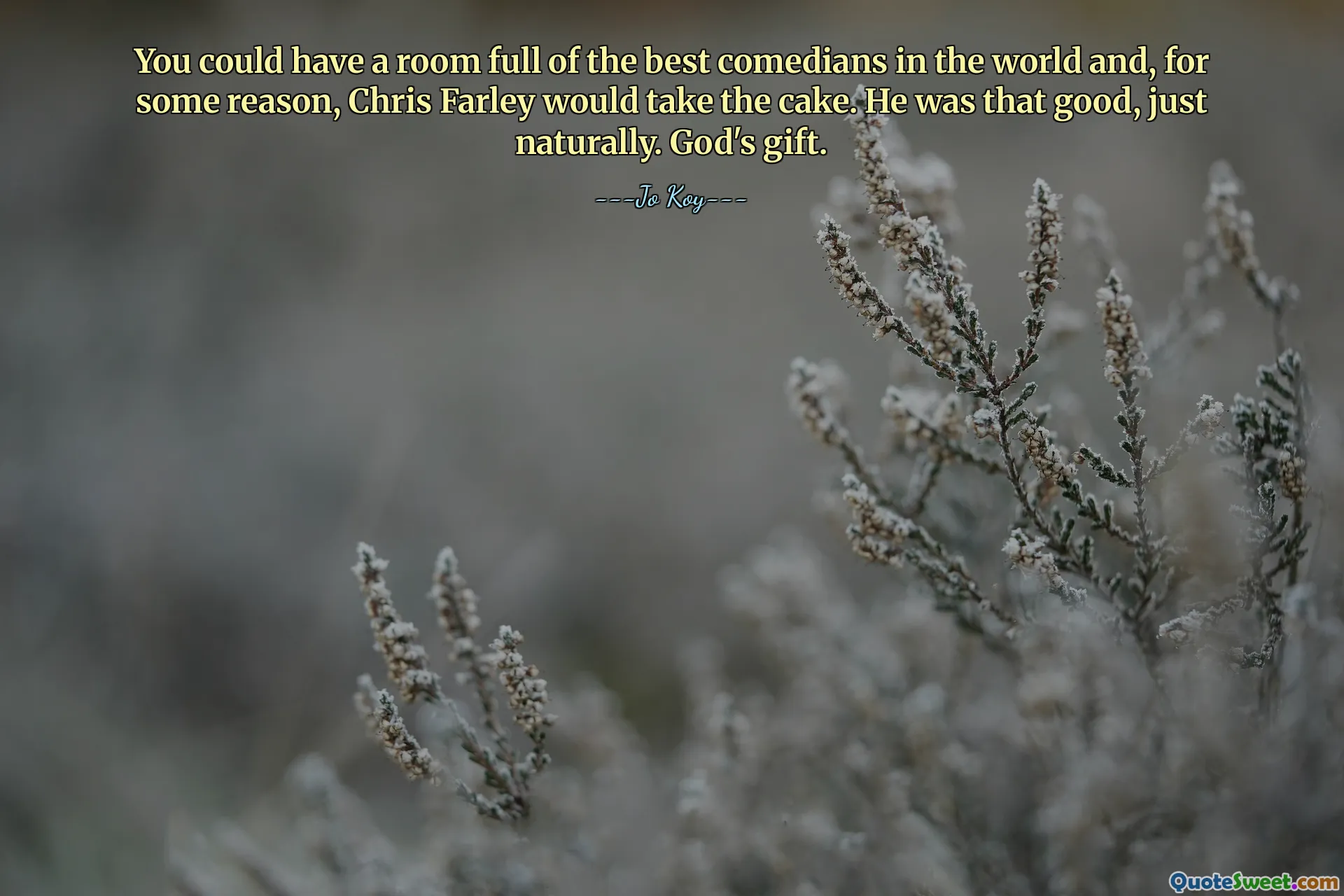 You could have a room full of the best comedians in the world and, for some reason, Chris Farley would take the cake. He was that good, just naturally. God's gift.