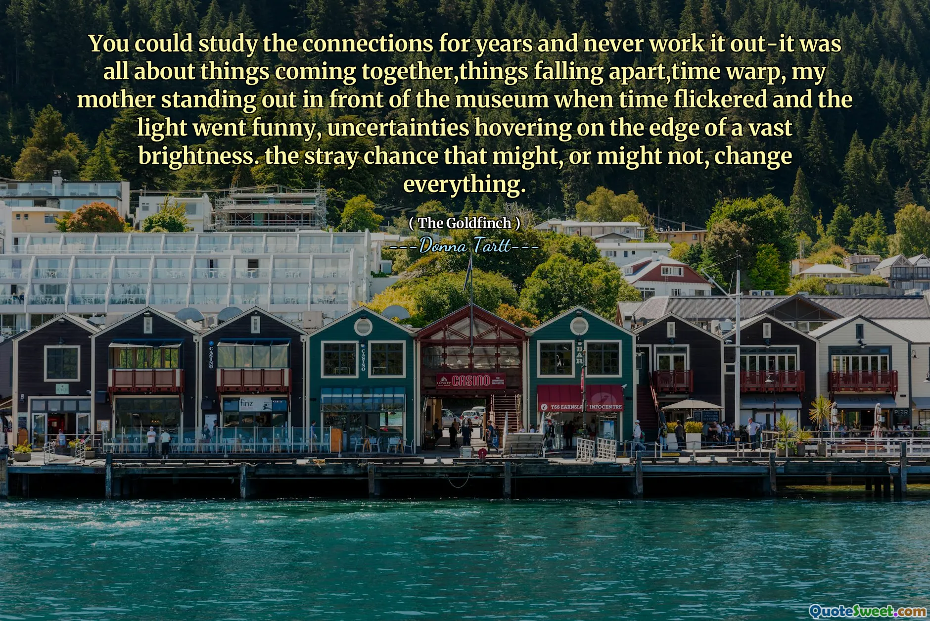 You could study the connections for years and never work it out-it was all about things coming together,things falling apart,time warp, my mother standing out in front of the museum when time flickered and the light went funny, uncertainties hovering on the edge of a vast brightness. the stray chance that might, or might not, change everything.