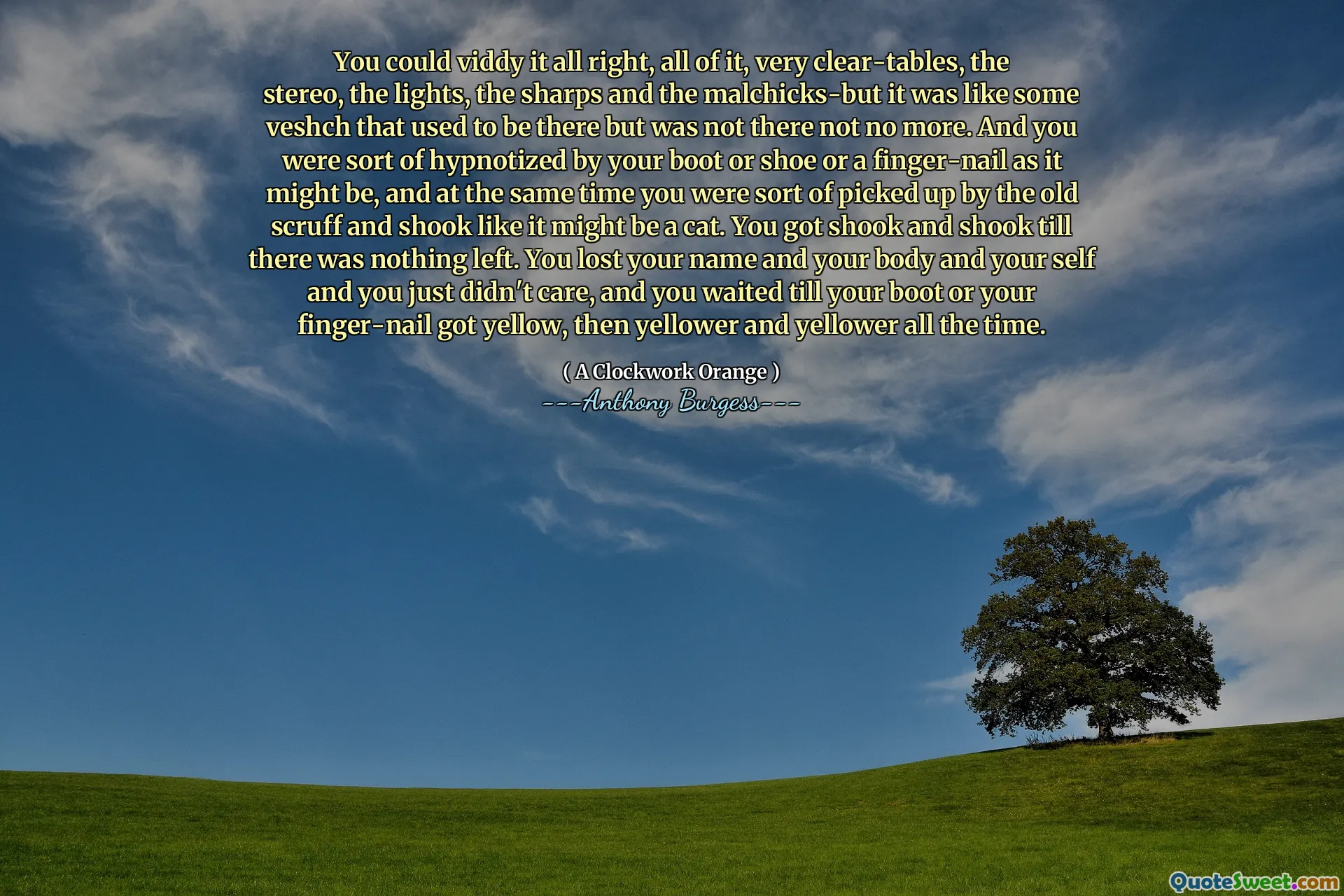 You could viddy it all right, all of it, very clear-tables, the stereo, the lights, the sharps and the malchicks-but it was like some veshch that used to be there but was not there not no more. And you were sort of hypnotized by your boot or shoe or a finger-nail as it might be, and at the same time you were sort of picked up by the old scruff and shook like it might be a cat. You got shook and shook till there was nothing left. You lost your name and your body and your self and you just didn't care, and you waited till your boot or your finger-nail got yellow, then yellower and yellower all the time.