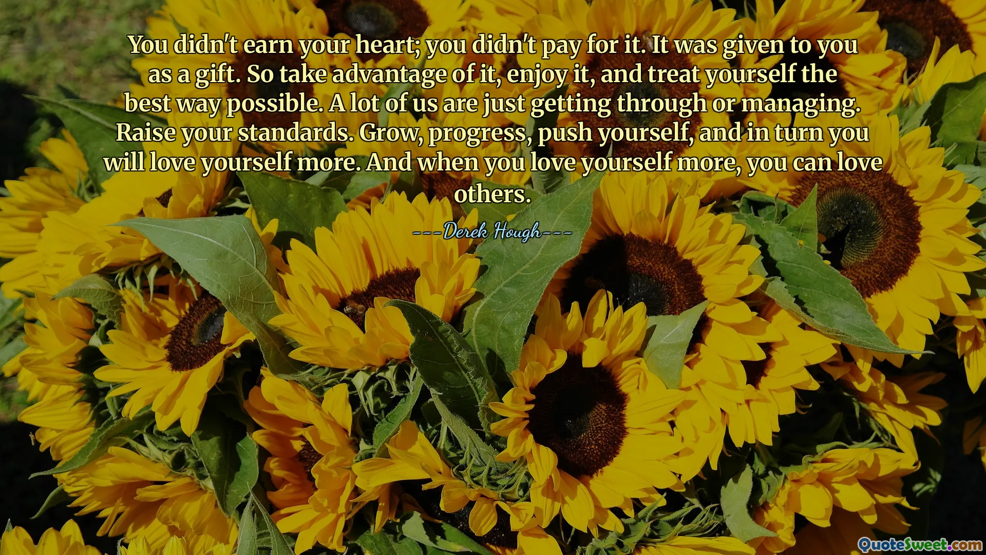 You didn't earn your heart; you didn't pay for it. It was given to you as a gift. So take advantage of it, enjoy it, and treat yourself the best way possible. A lot of us are just getting through or managing. Raise your standards. Grow, progress, push yourself, and in turn you will love yourself more. And when you love yourself more, you can love others.