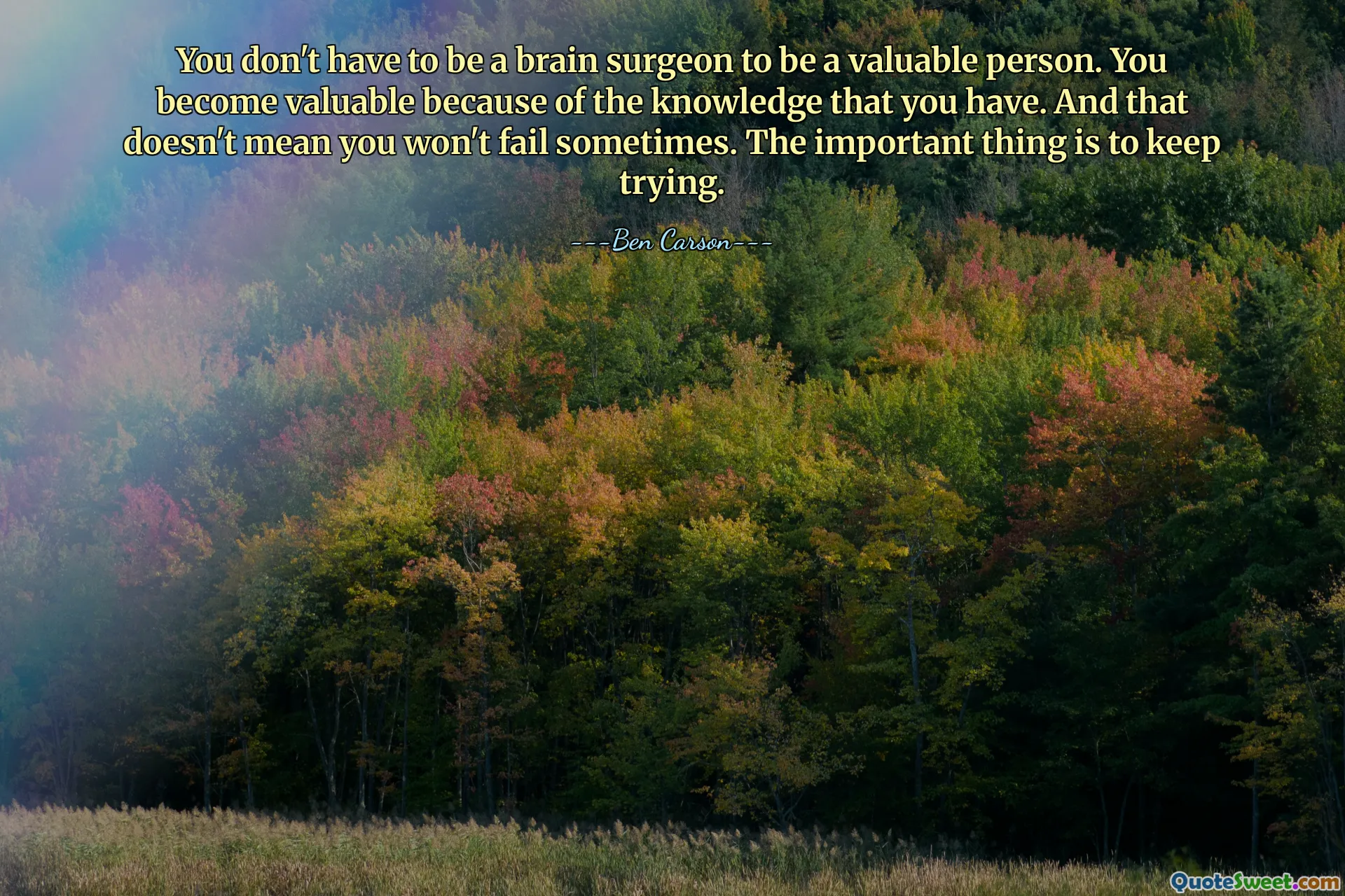 Nemusíte být mozkovým chirurgem, abyste byli hodnotným člověkem. Stáváte se cennými díky znalostem, které máte. A to neznamená, že občas neuspějete. Důležité je stále zkoušet.