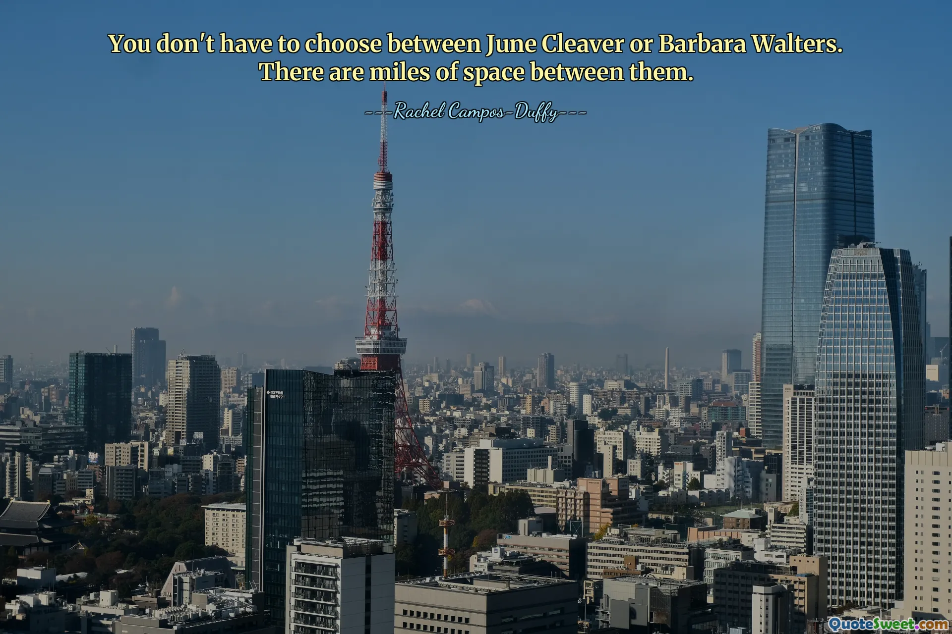 You don't have to choose between June Cleaver or Barbara Walters. There are miles of space between them.