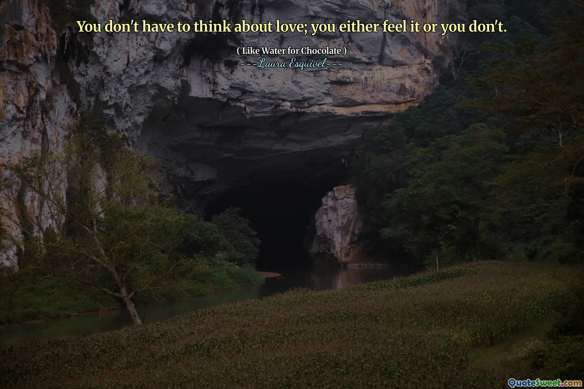 您不必考虑爱；您要么感觉到，要么没有。