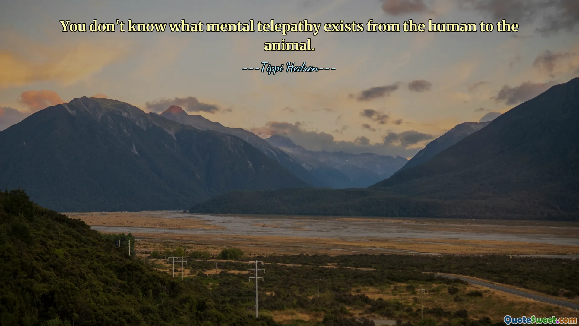 You don't know what mental telepathy exists from the human to the animal.