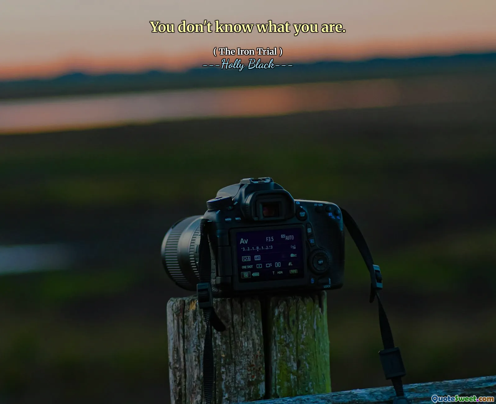 You don't know what you are.