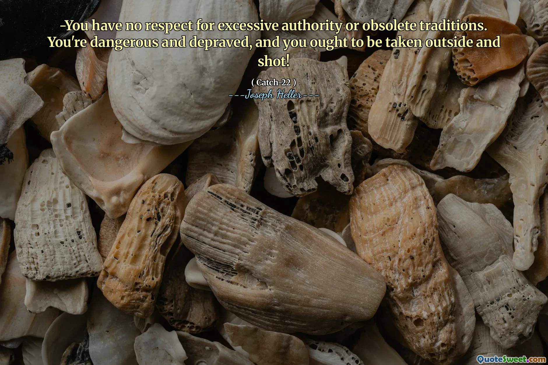 -Du har ingen respekt for overdreven autoritet eller foreldede tradisjoner. Du er farlig og depravert, og du burde tas utenfor og skutt!