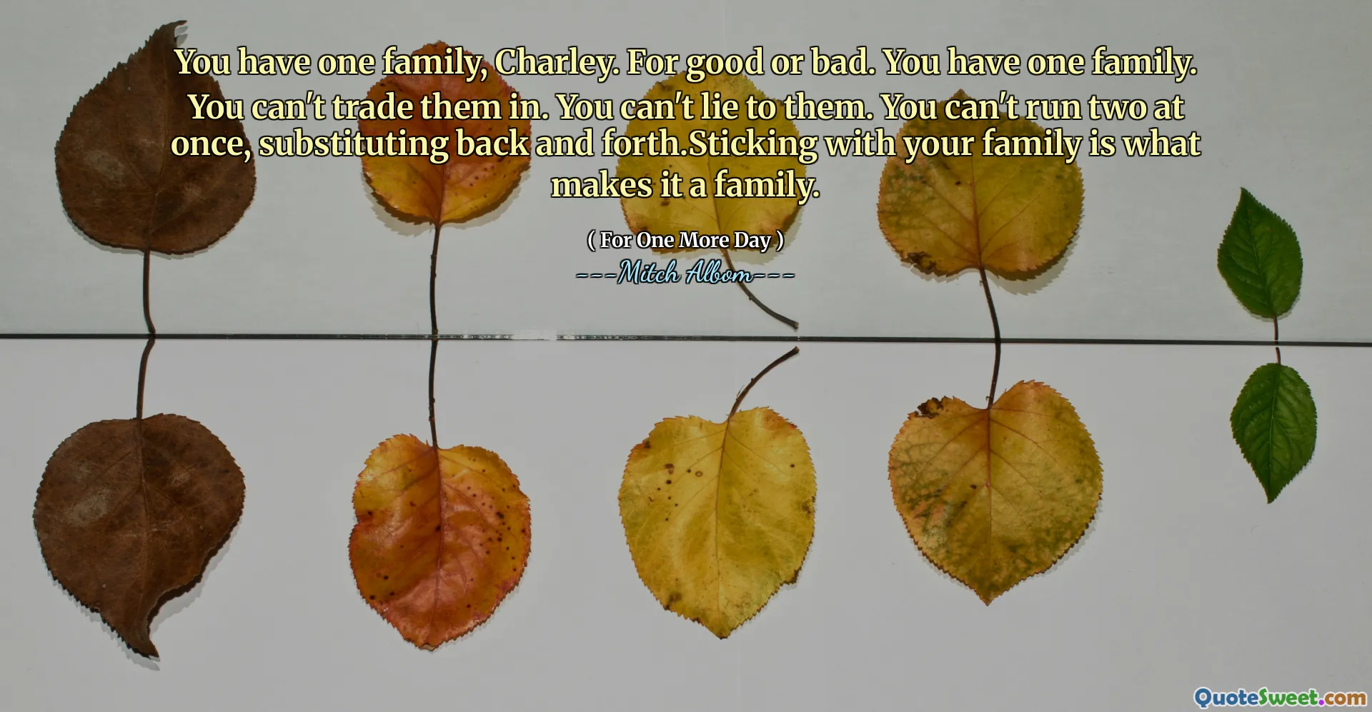 You have one family, Charley. For good or bad. You have one family. You can't trade them in. You can't lie to them. You can't run two at once, substituting back and forth.Sticking with your family is what makes it a family.