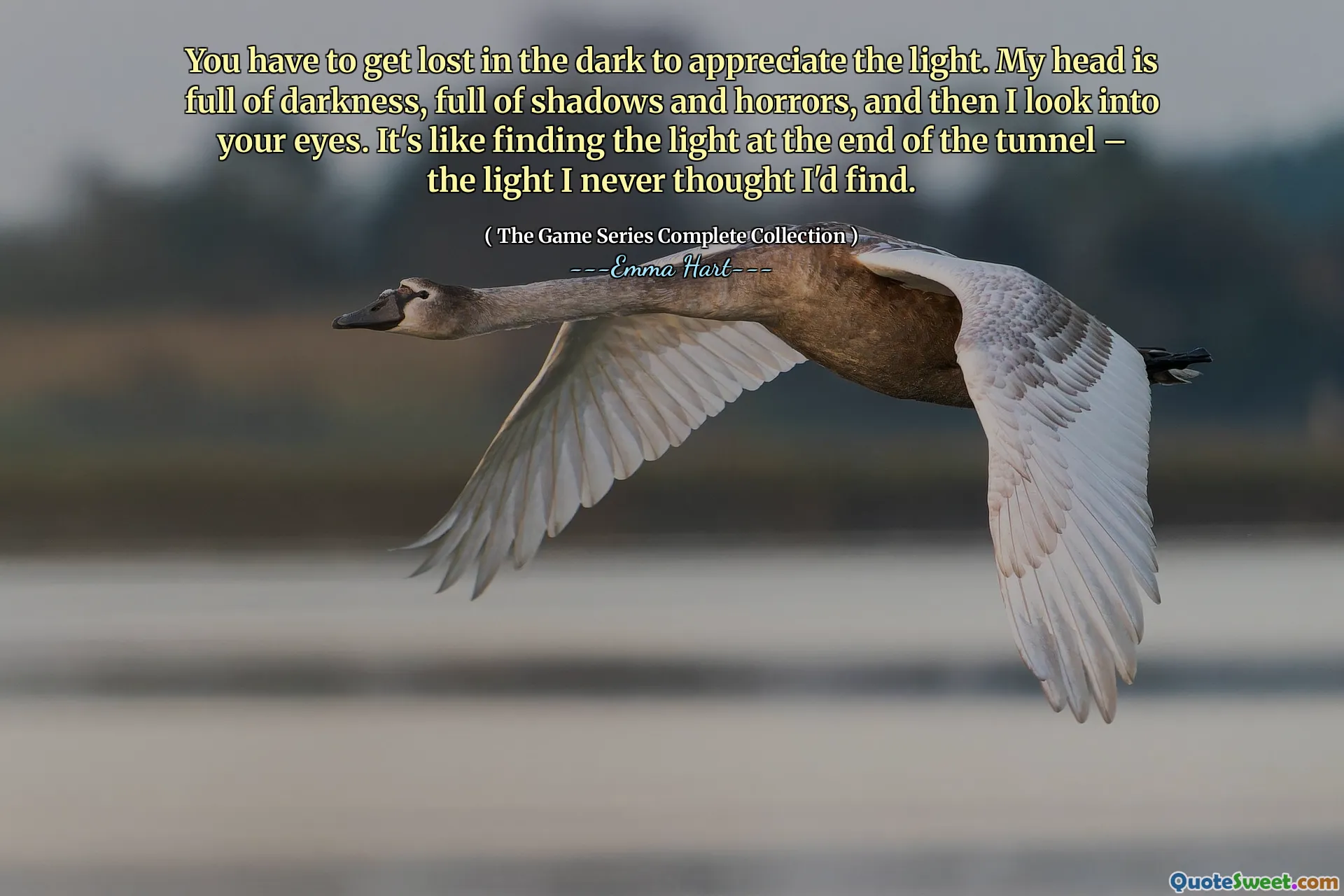 Je moet in het donker verdwalen om het licht te waarderen. Mijn hoofd is vol duisternis, vol schaduwen en gruwelen, en dan kijk ik in je ogen. Het is alsof je het licht aan het einde van de tunnel vindt - het licht dat ik nooit had gedacht dat ik zou vinden.