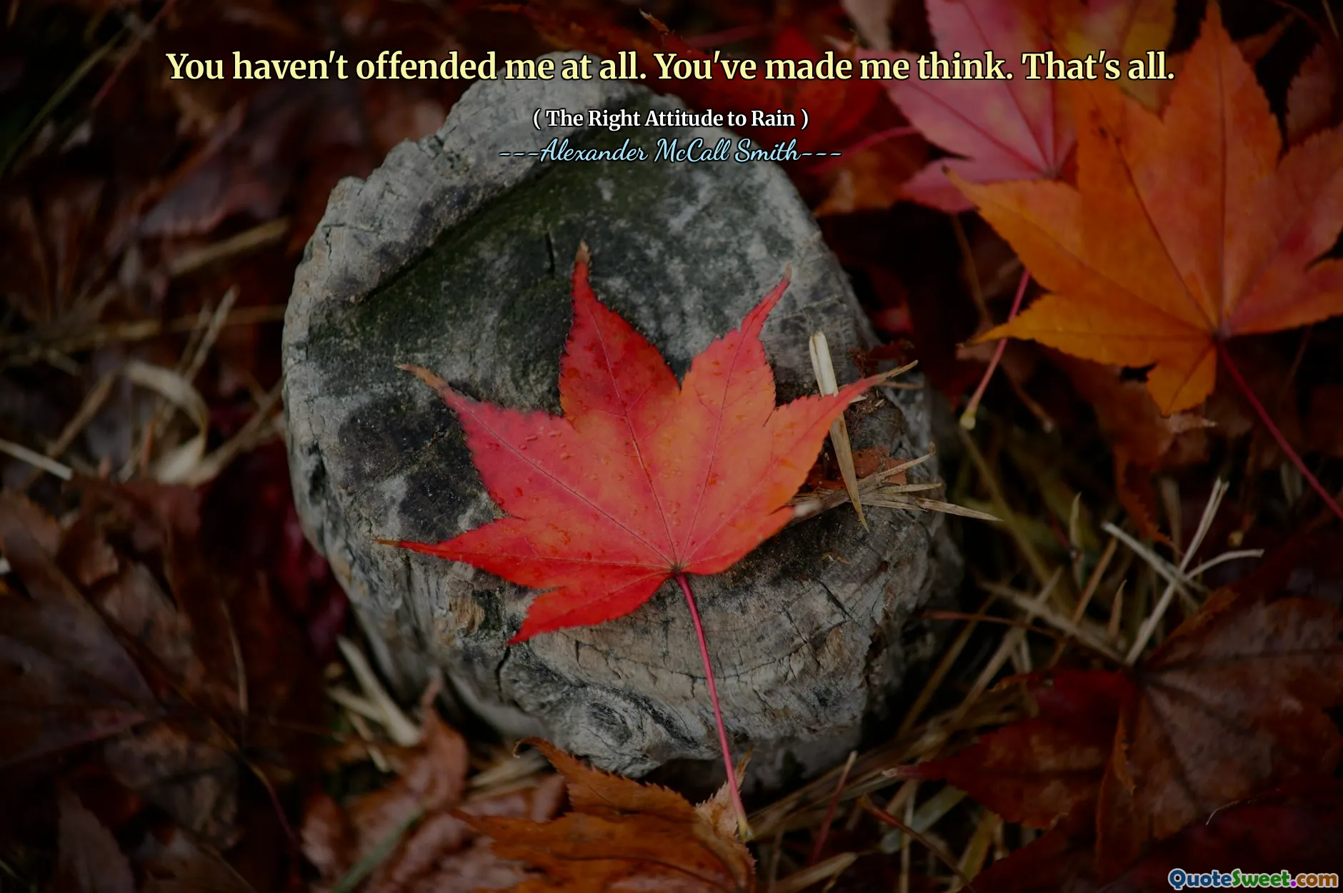 თქვენ საერთოდ არ გამწყენინე. შენ მაფიქრებოდი. ყველაფერი.