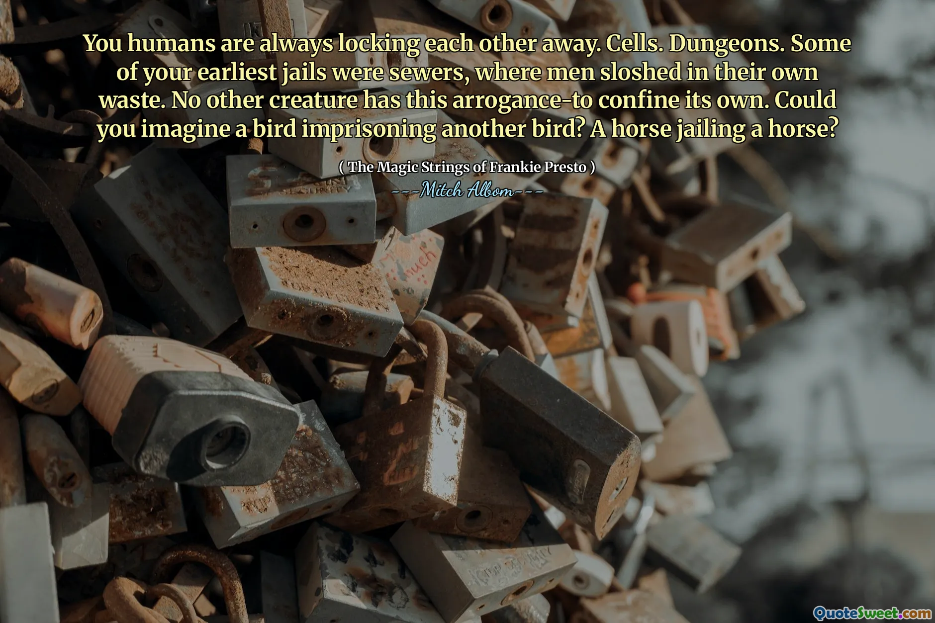 You humans are always locking each other away. Cells. Dungeons. Some of your earliest jails were sewers, where men sloshed in their own waste. No other creature has this arrogance-to confine its own. Could you imagine a bird imprisoning another bird? A horse jailing a horse?