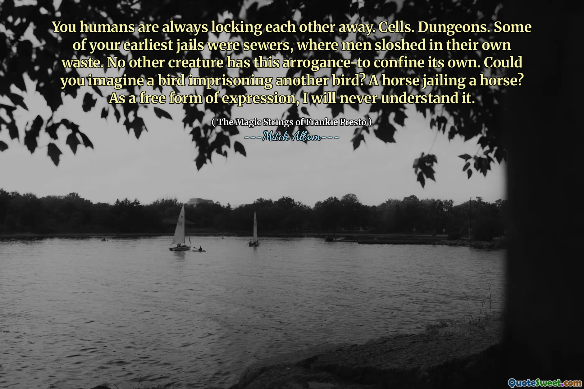 You humans are always locking each other away. Cells. Dungeons. Some of your earliest jails were sewers, where men sloshed in their own waste. No other creature has this arrogance-to confine its own. Could you imagine a bird imprisoning another bird? A horse jailing a horse? As a free form of expression, I will never understand it.