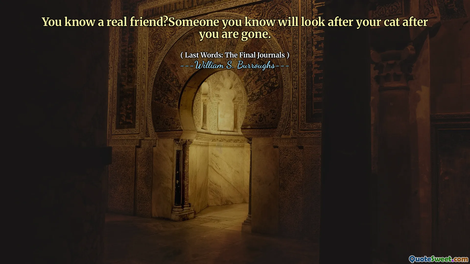 Vous connaissez un vrai ami? Quelqu'un que vous connaissez s'occupera de votre chat après votre départ.