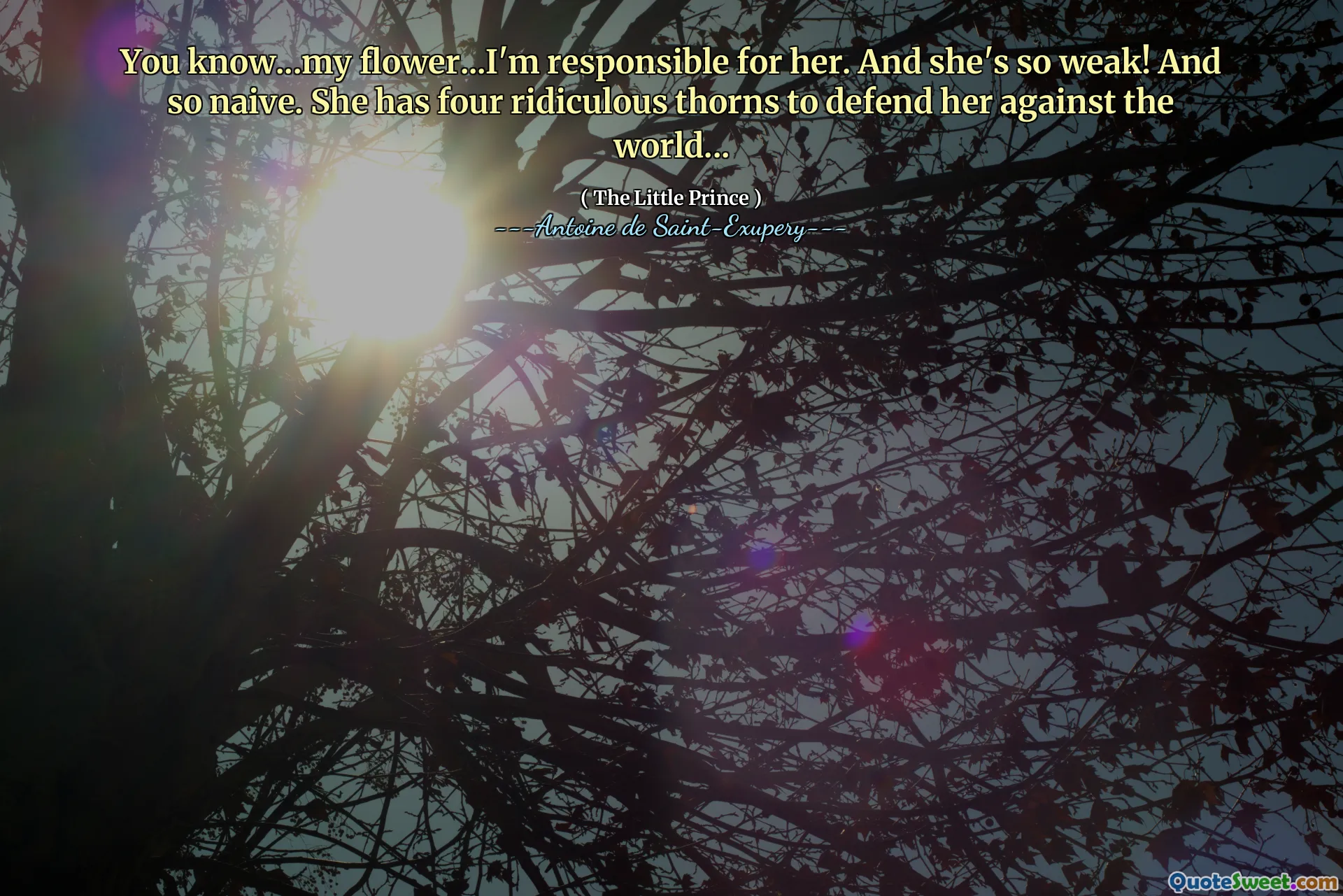 You know...my flower...I'm responsible for her. And she's so weak! And so naive. She has four ridiculous thorns to defend her against the world...