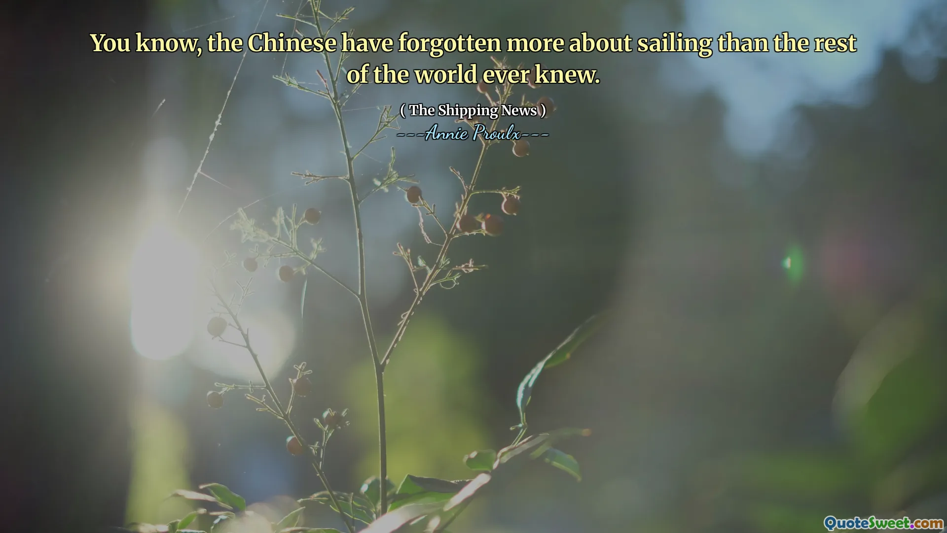 თქვენ იცით, რომ ჩინელებმა უფრო მეტი დაივიწყეს მცურავი, ვიდრე დანარჩენმა მსოფლიოს ოდესმე იცოდნენ.