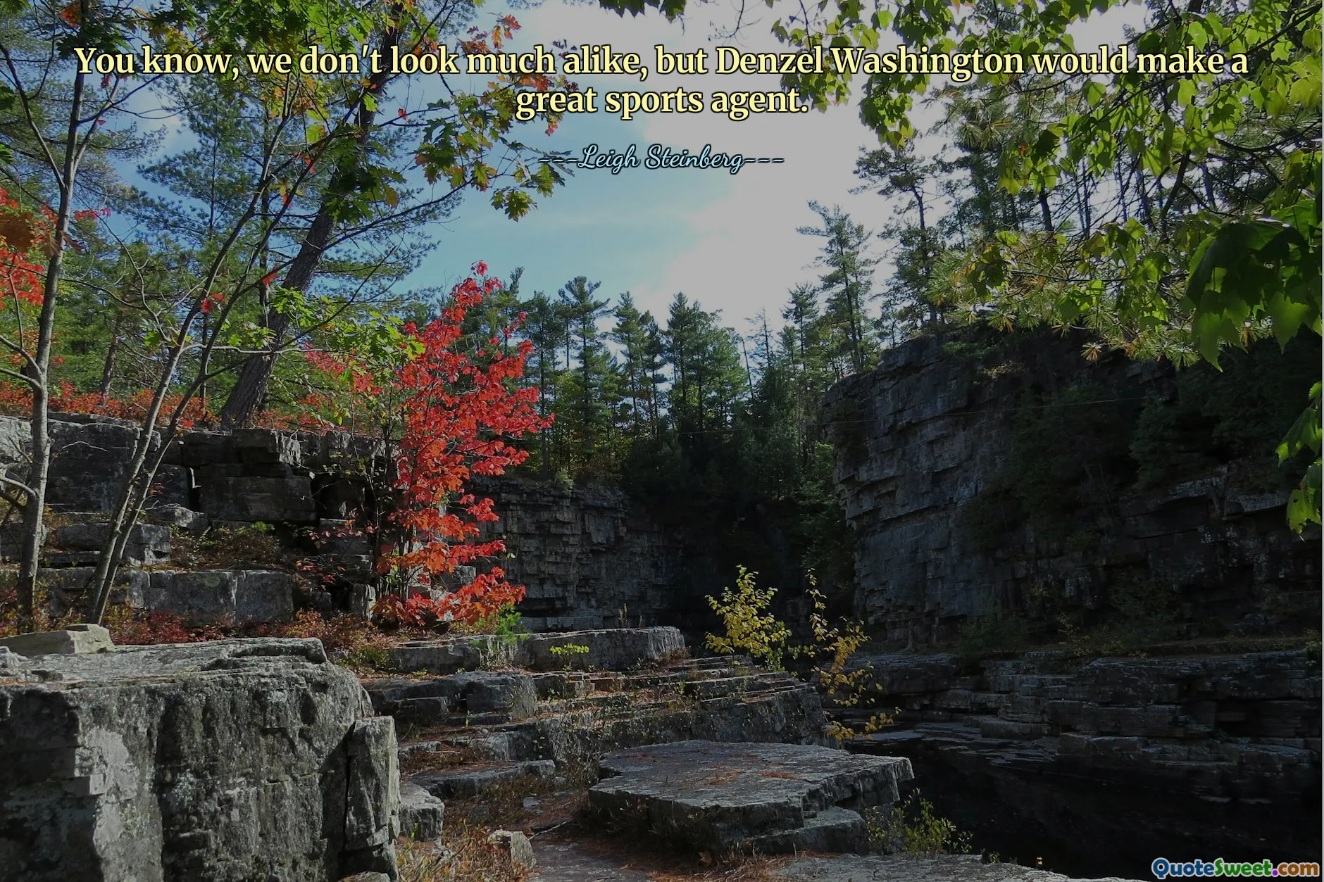 You know, we don't look much alike, but Denzel Washington would make a great sports agent.