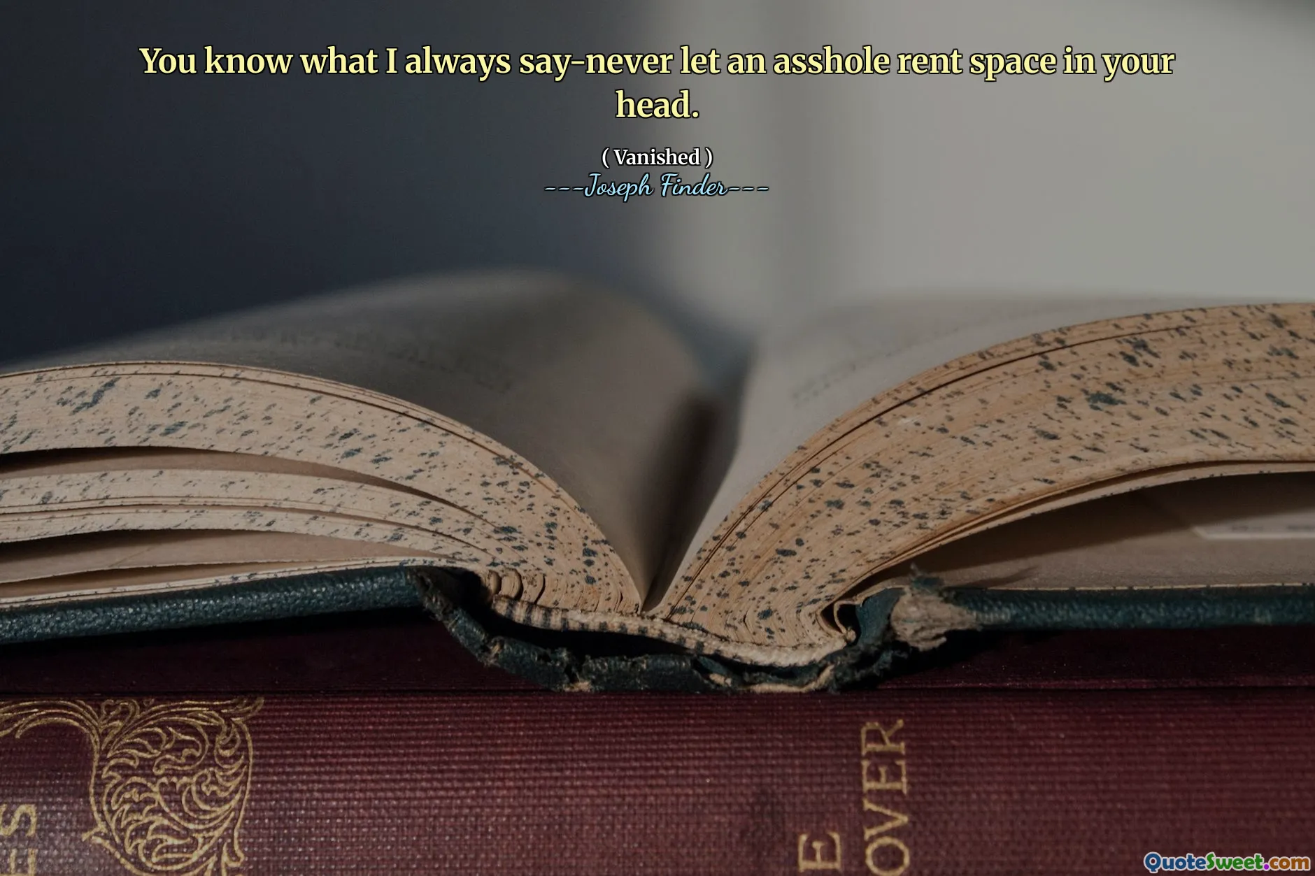 Du vet vad jag alltid säger aldrig låt ett rövhål hyra utrymme i huvudet.