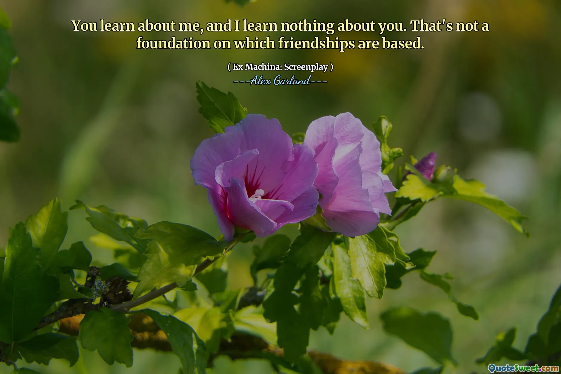 You learn about me, and I learn nothing about you. That's not a foundation on which friendships are based.