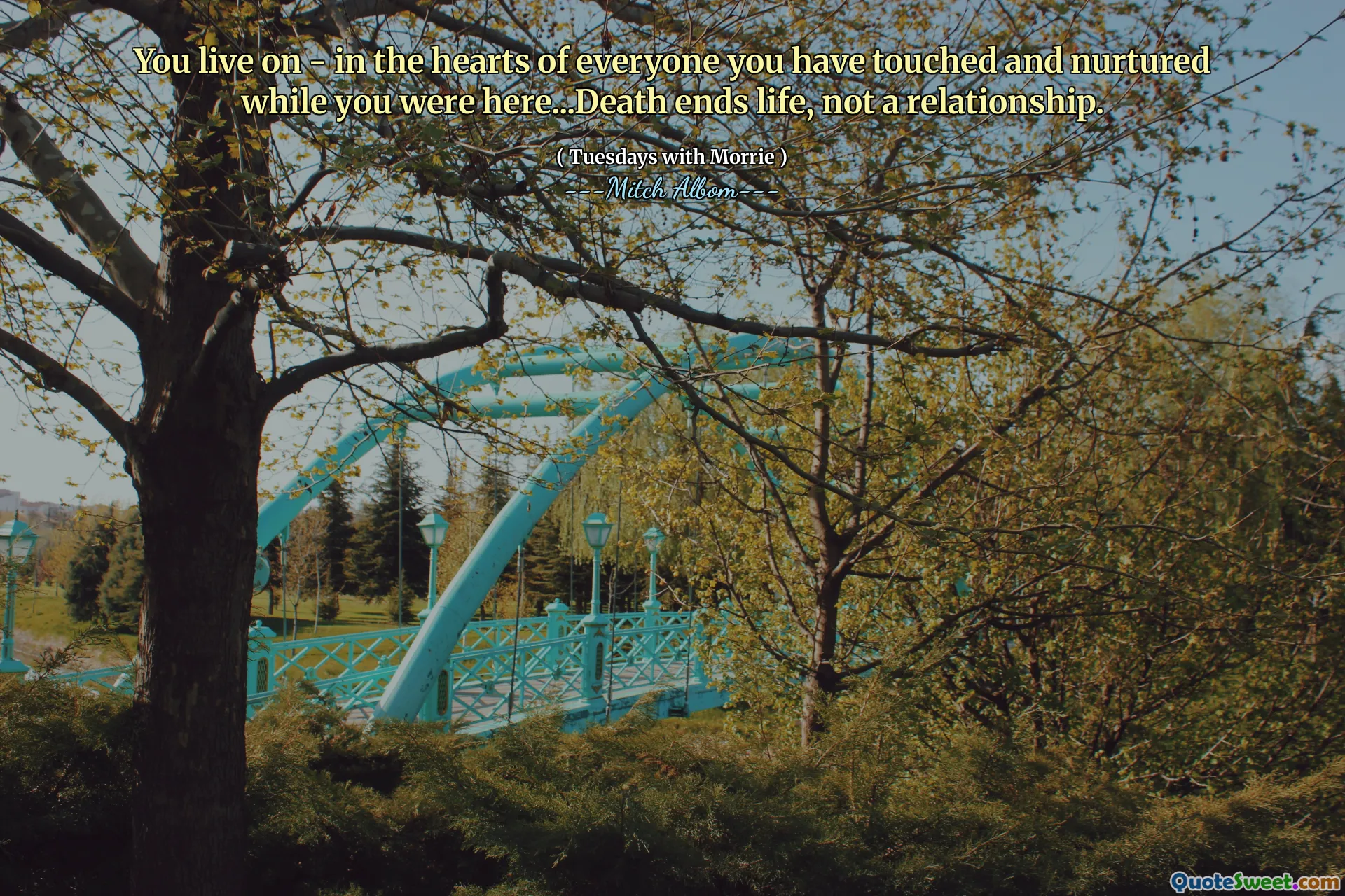 Você vive - no coração de todos que você tocou e nutriu enquanto estava aqui ... A morte termina a vida, não um relacionamento.
