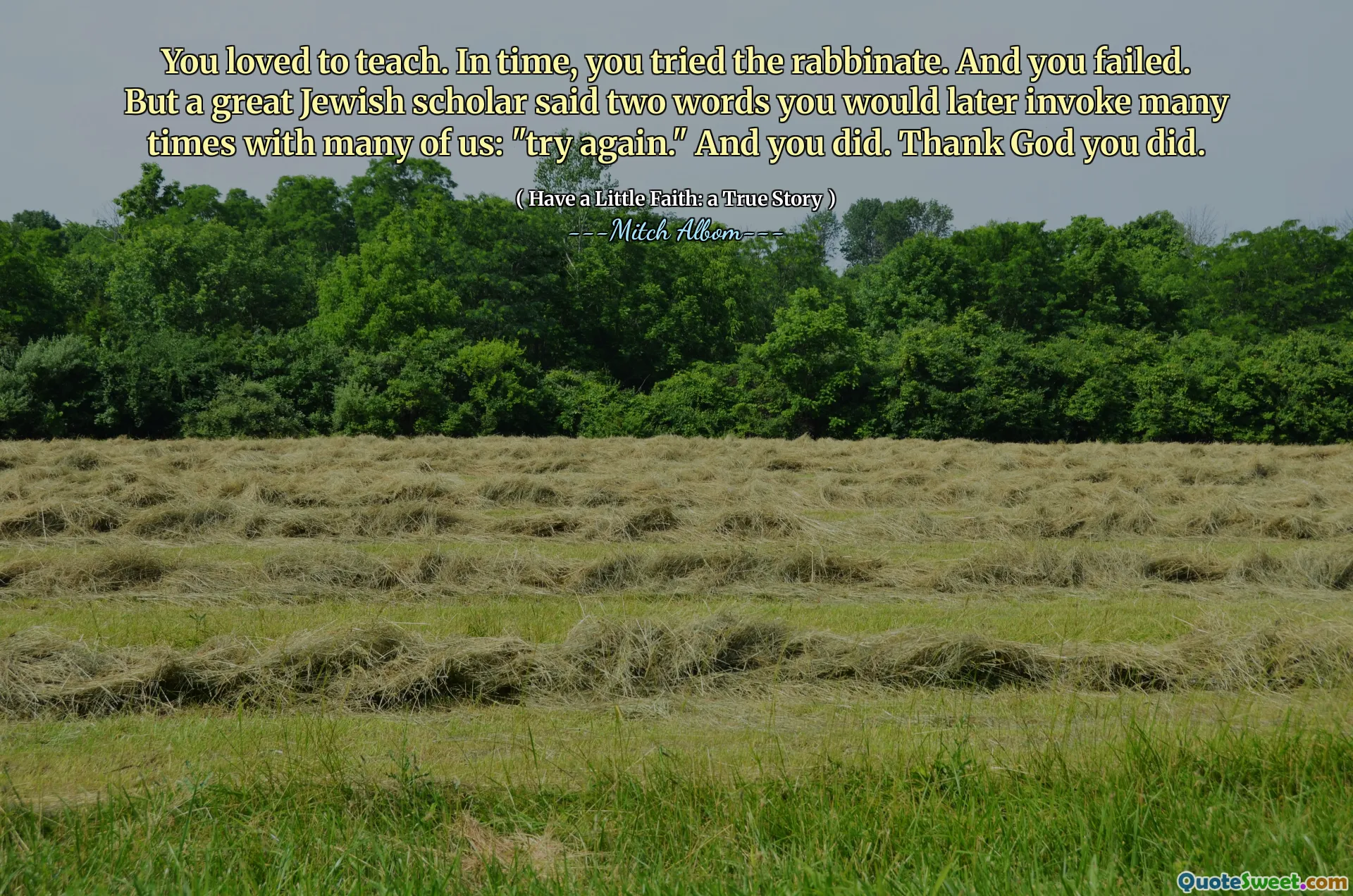 Du liebst es zu unterrichten. Mit der Zeit haben Sie das Rabbinat ausprobiert. Und du hast versagt. Aber ein großer jüdischer Gelehrter sagte zwei Wörter, die Sie später mit vielen von uns oft anrufen würden: "Versuchen Sie es erneut." Und du hast es getan. Gott sei Dank, du hast es getan.