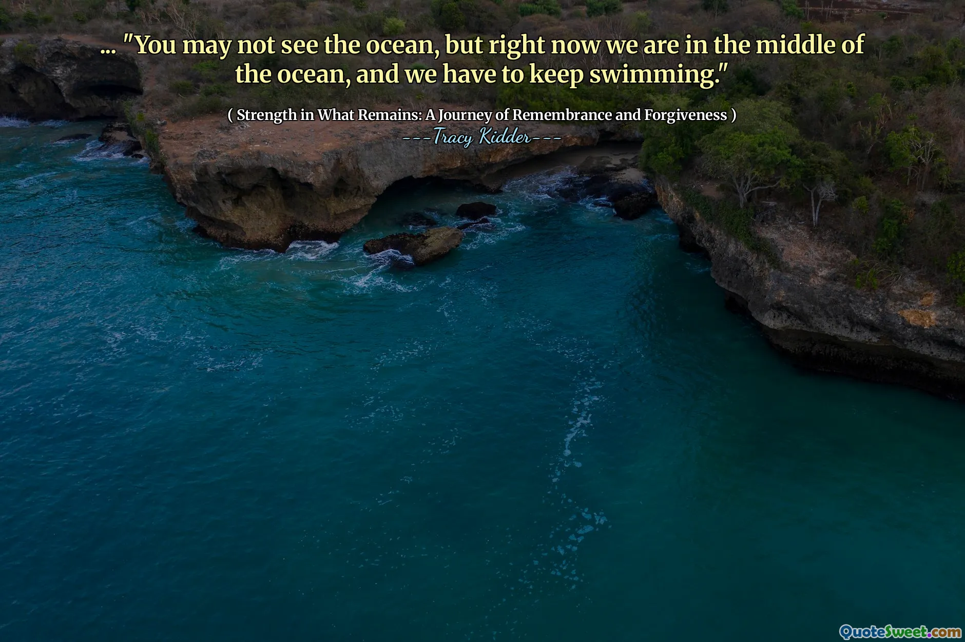 ... "قد لا ترى المحيط ، لكننا الآن في منتصف المحيط ، وعلينا أن نستمر في السباحة".
