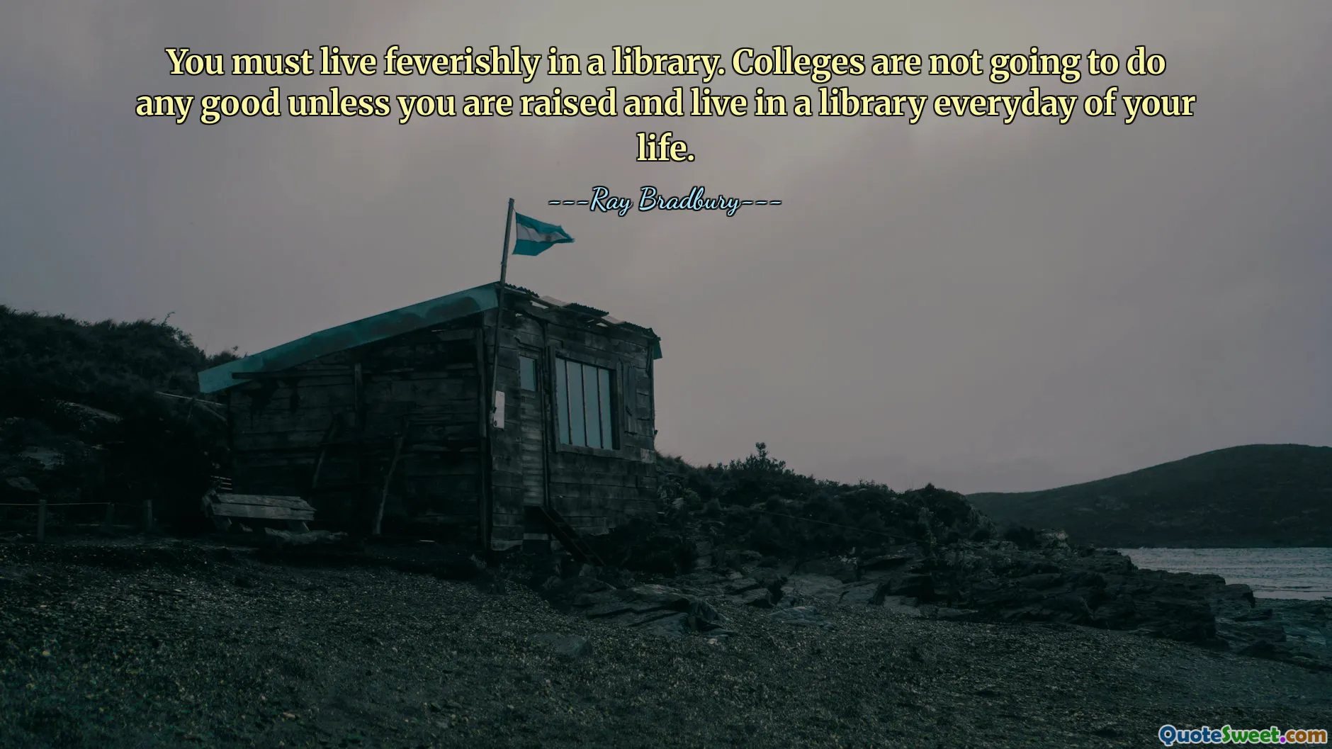 You must live feverishly in a library. Colleges are not going to do any good unless you are raised and live in a library everyday of your life.