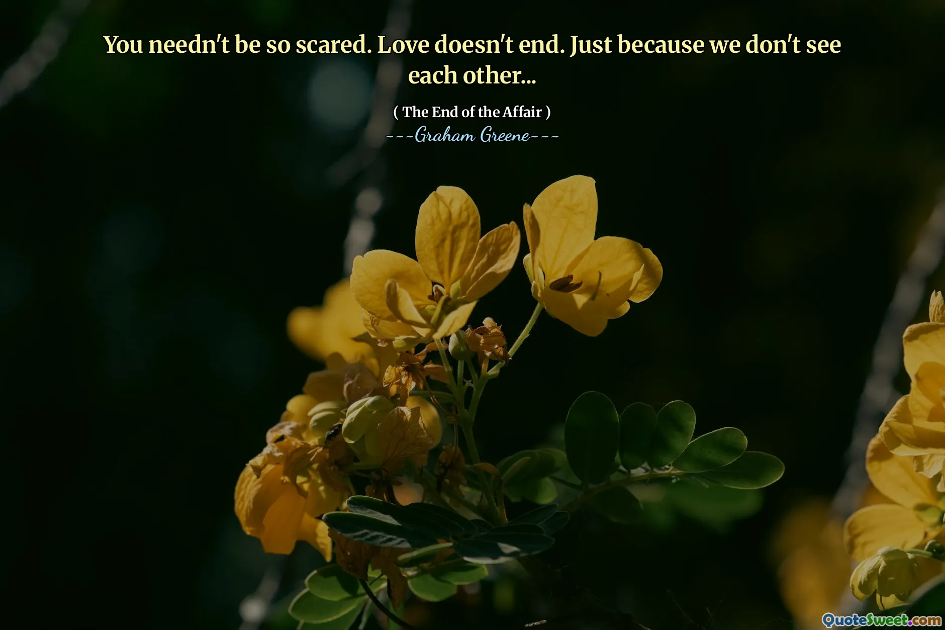 You needn't be so scared. Love doesn't end. Just because we don't see each other...