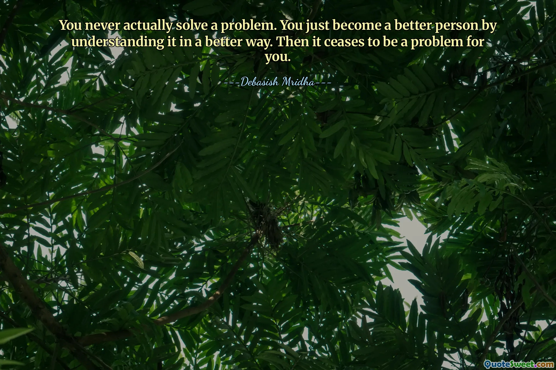You never actually solve a problem. You just become a better person by understanding it in a better way. Then it ceases to be a problem for you.