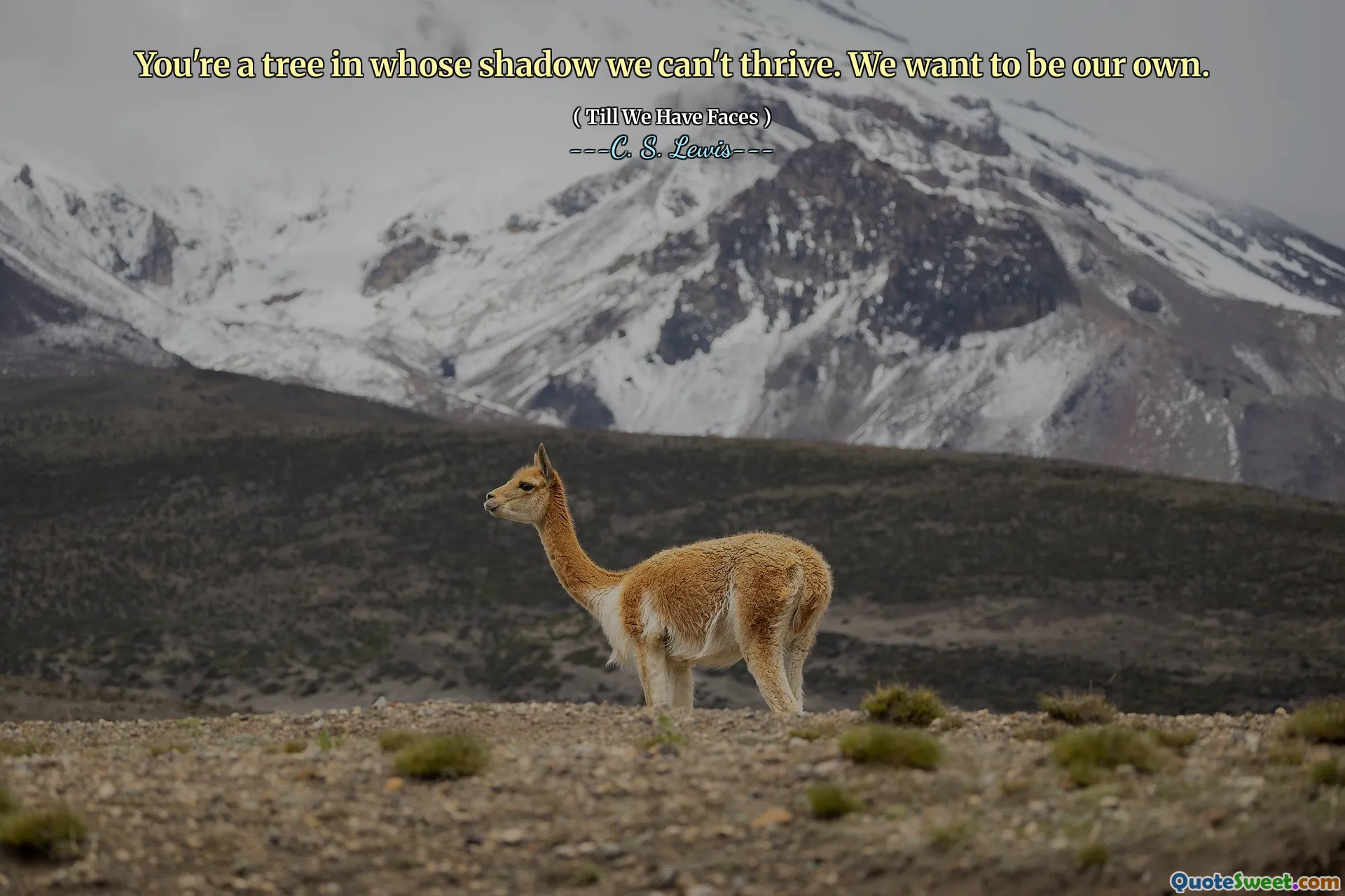 You're a tree in whose shadow we can't thrive. We want to be our own.