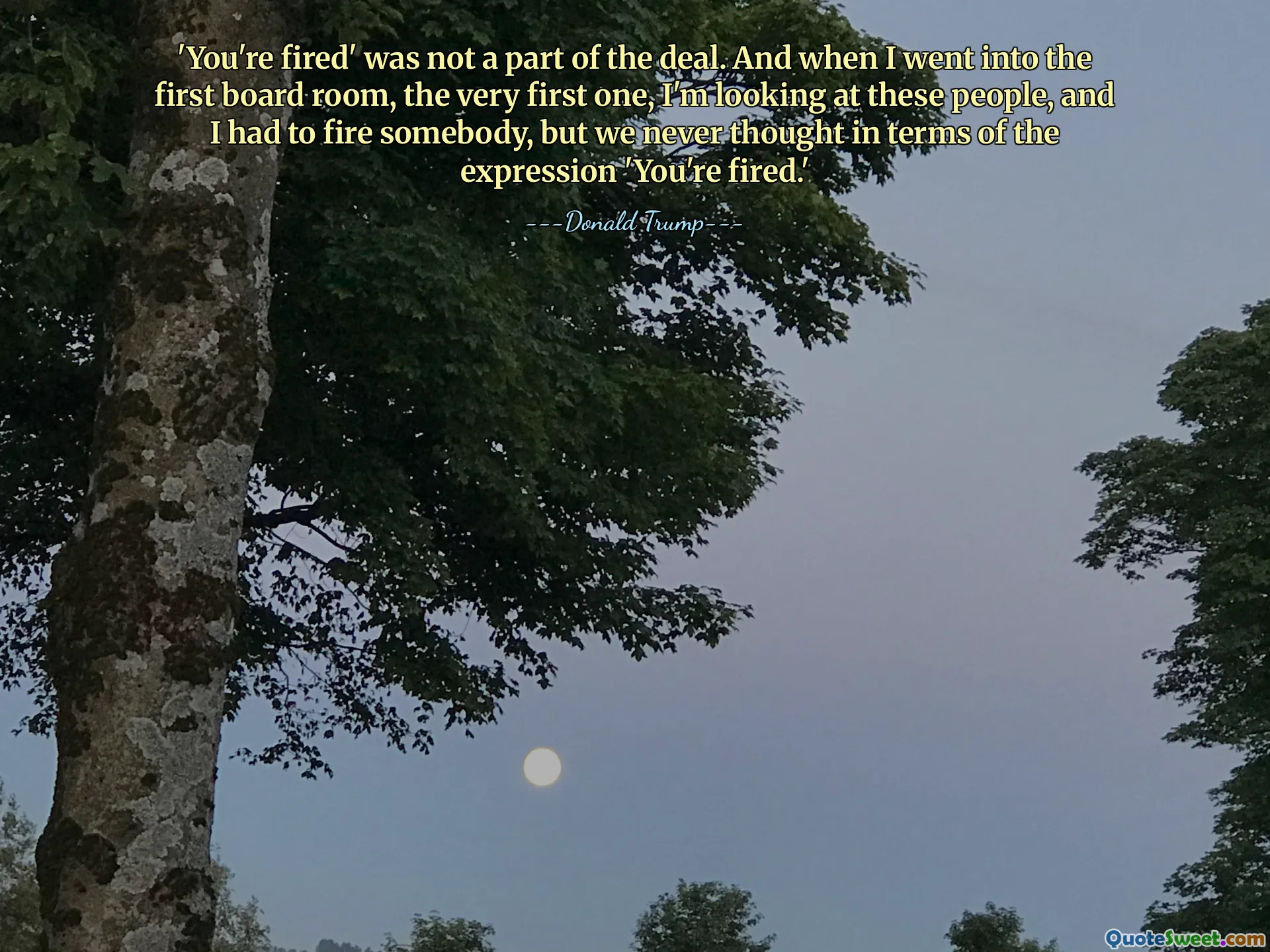 'Bạn bị sa thải' không phải là một phần của thỏa thuận. Và khi tôi bước vào phòng họp đầu tiên, phòng đầu tiên, tôi nhìn những người này và tôi phải sa thải ai đó, nhưng chúng tôi chưa bao giờ nghĩ đến cụm từ 'Bạn bị sa thải.'