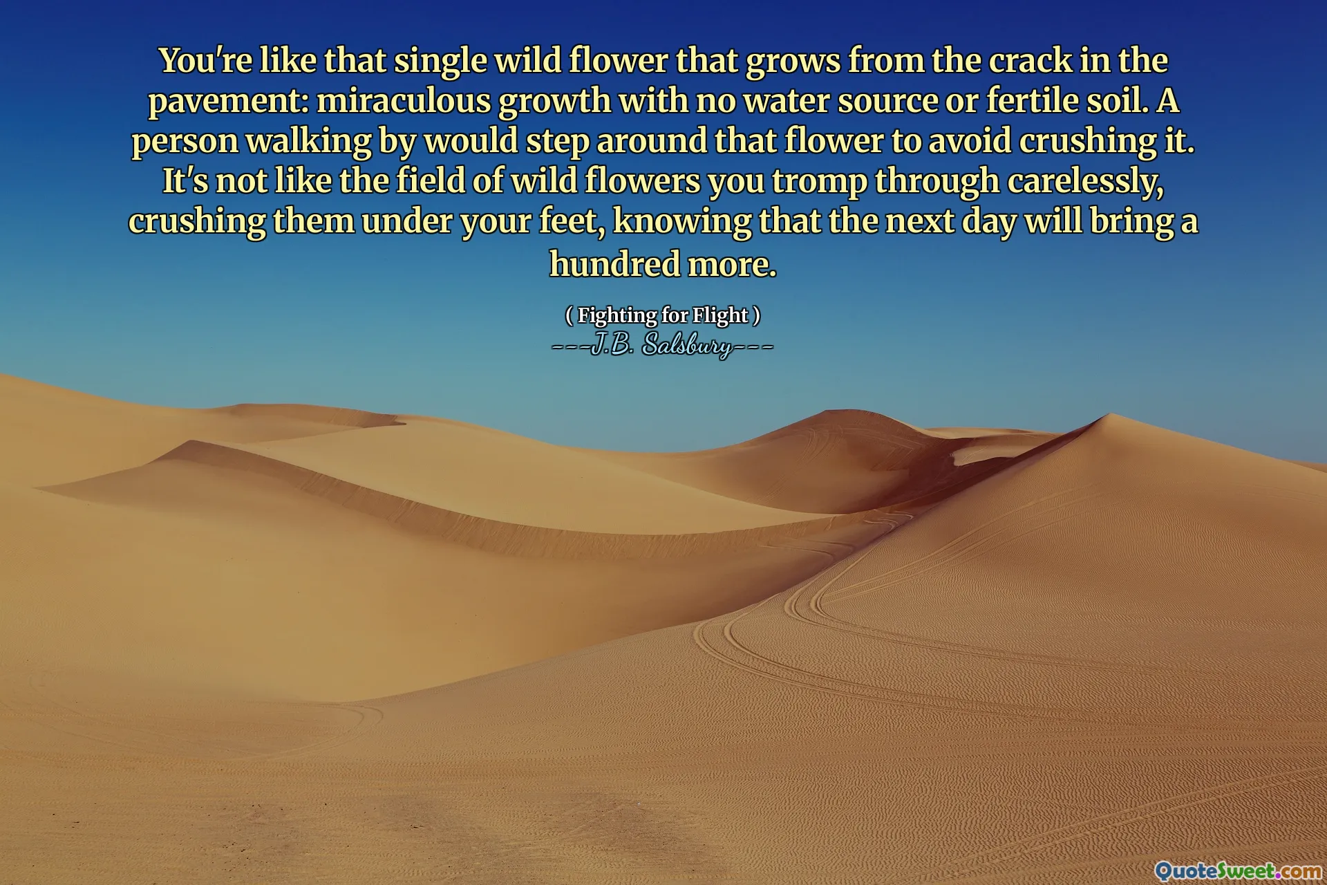 You're like that single wild flower that grows from the crack in the pavement: miraculous growth with no water source or fertile soil. A person walking by would step around that flower to avoid crushing it. It's not like the field of wild flowers you tromp through carelessly, crushing them under your feet, knowing that the next day will bring a hundred more.