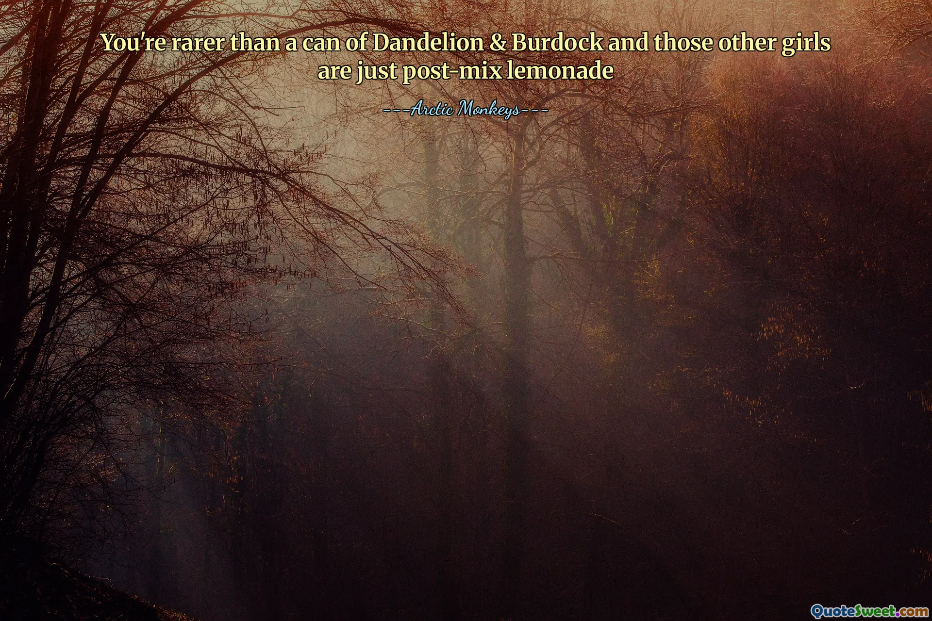 You're rarer than a can of Dandelion & Burdock and those other girls are just post-mix lemonade