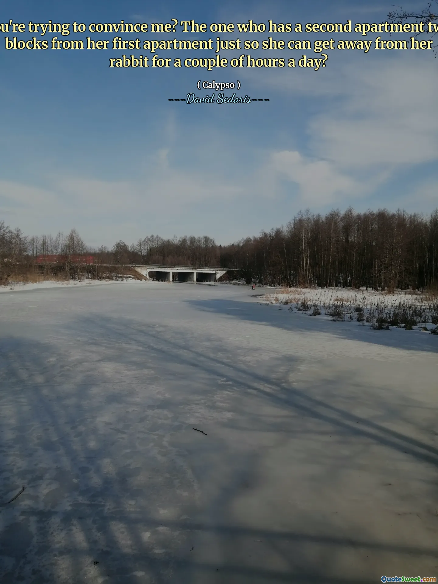 You're trying to convince me? The one who has a second apartment two blocks from her first apartment just so she can get away from her rabbit for a couple of hours a day?