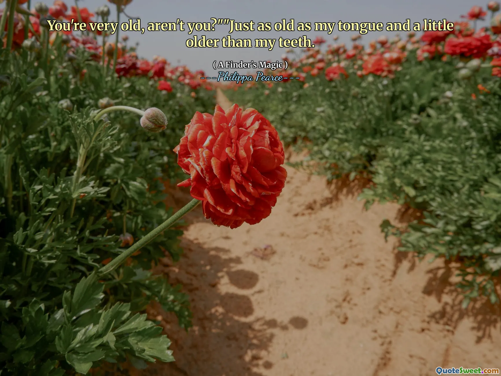 Tu es très vieux, n'est-ce pas? "" Tout aussi vieux que ma langue et un peu plus âgé que mes dents.