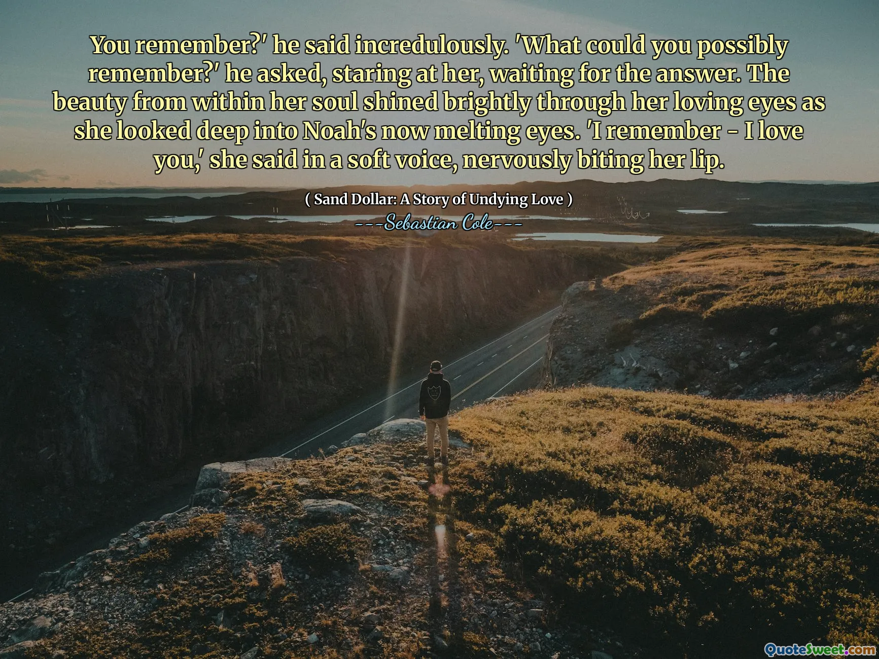 You remember?' he said incredulously. 'What could you possibly remember?' he asked, staring at her, waiting for the answer. The beauty from within her soul shined brightly through her loving eyes as she looked deep into Noah's now melting eyes. 'I remember - I love you,' she said in a soft voice, nervously biting her lip.