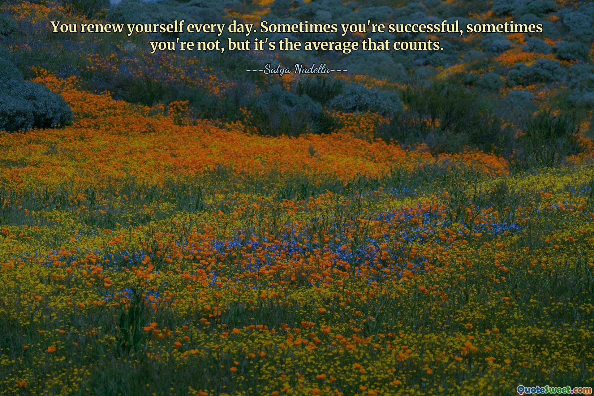 Odnawiasz się każdego dnia. Czasem odnosisz sukces, czasem nie, ale liczy się średnia.