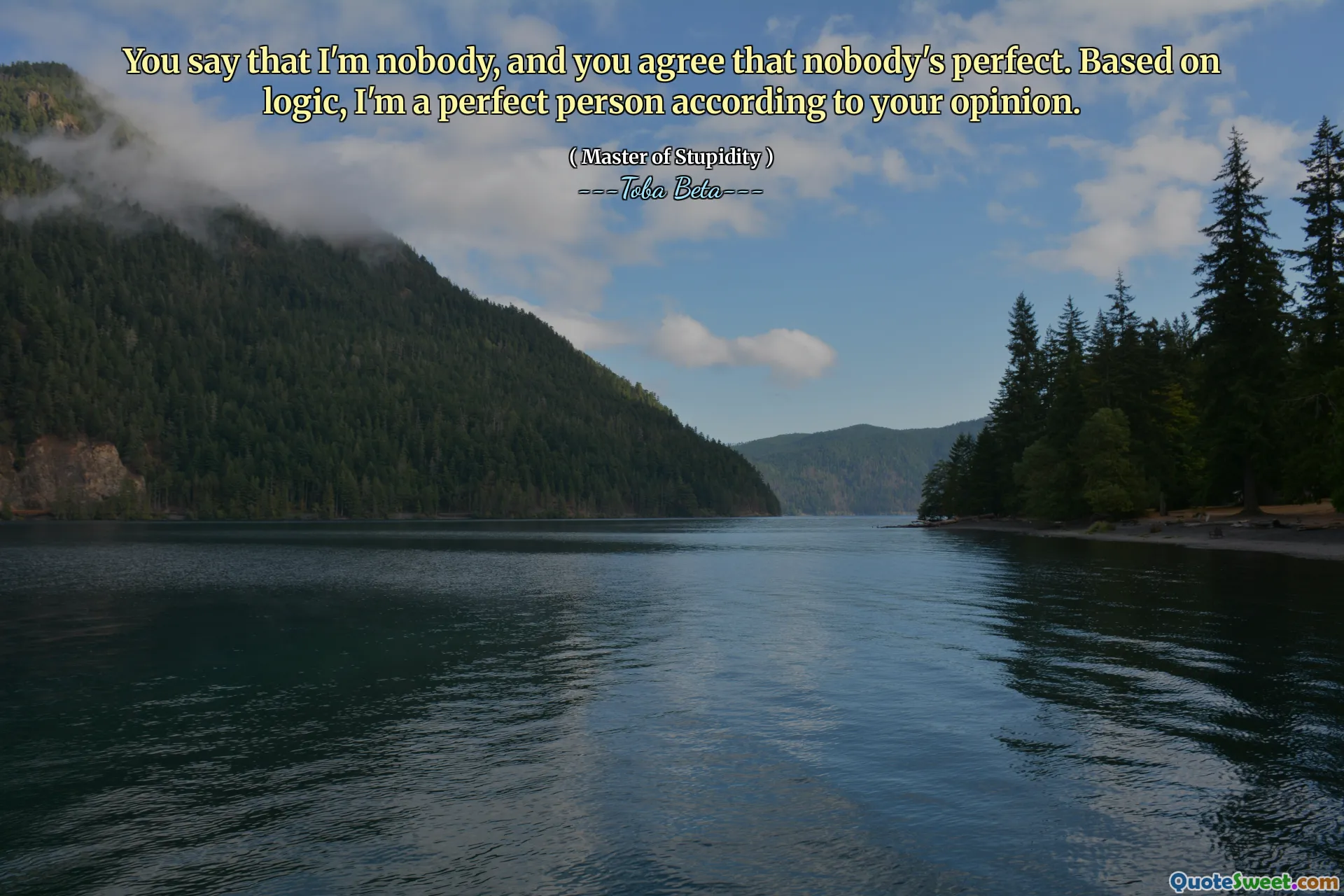 You say that I'm nobody, and you agree that nobody's perfect. Based on logic, I'm a perfect person according to your opinion.
