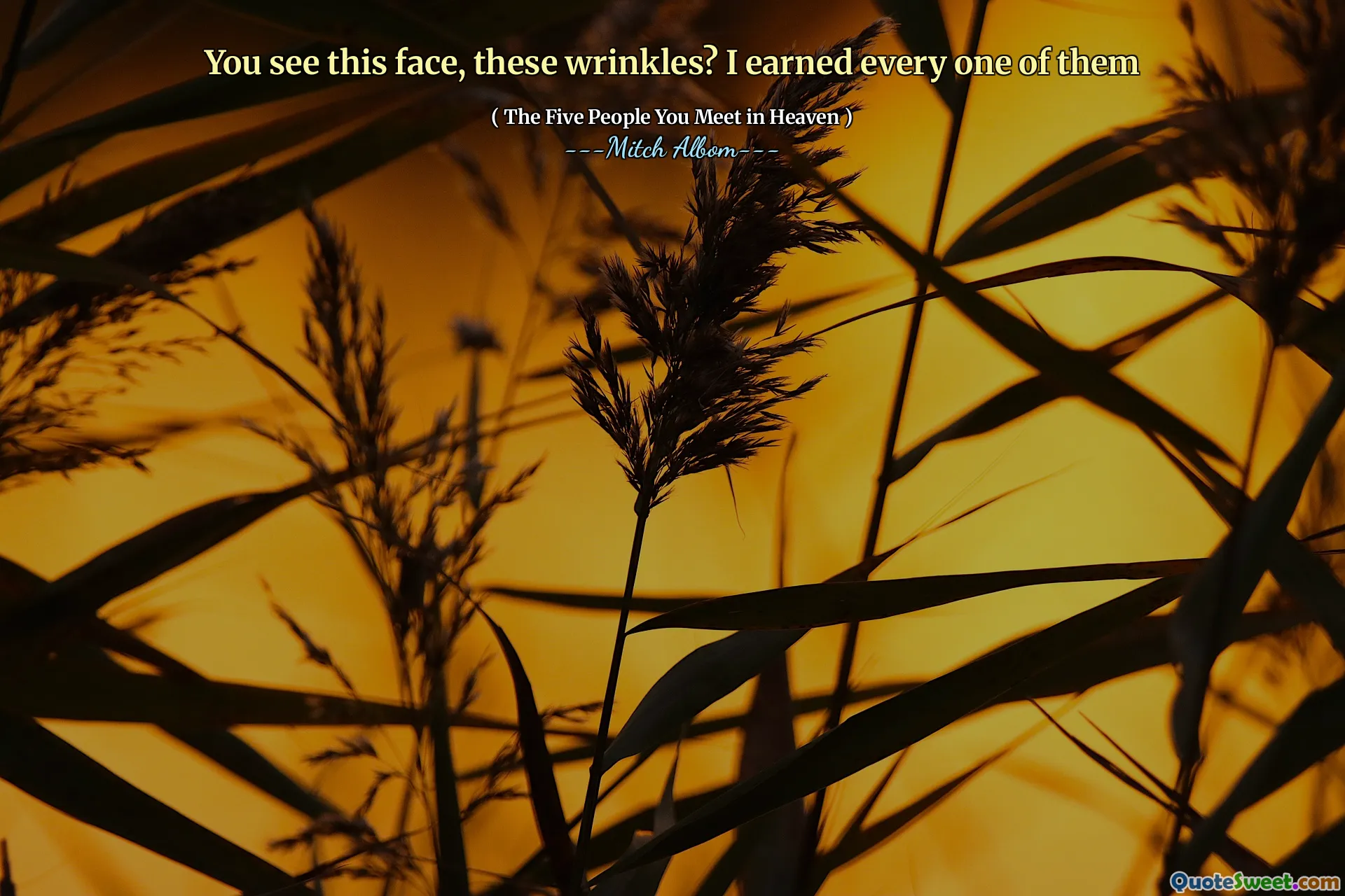 Vidíš tuto tvář, ty vrásky? Vydělal jsem každého z nich