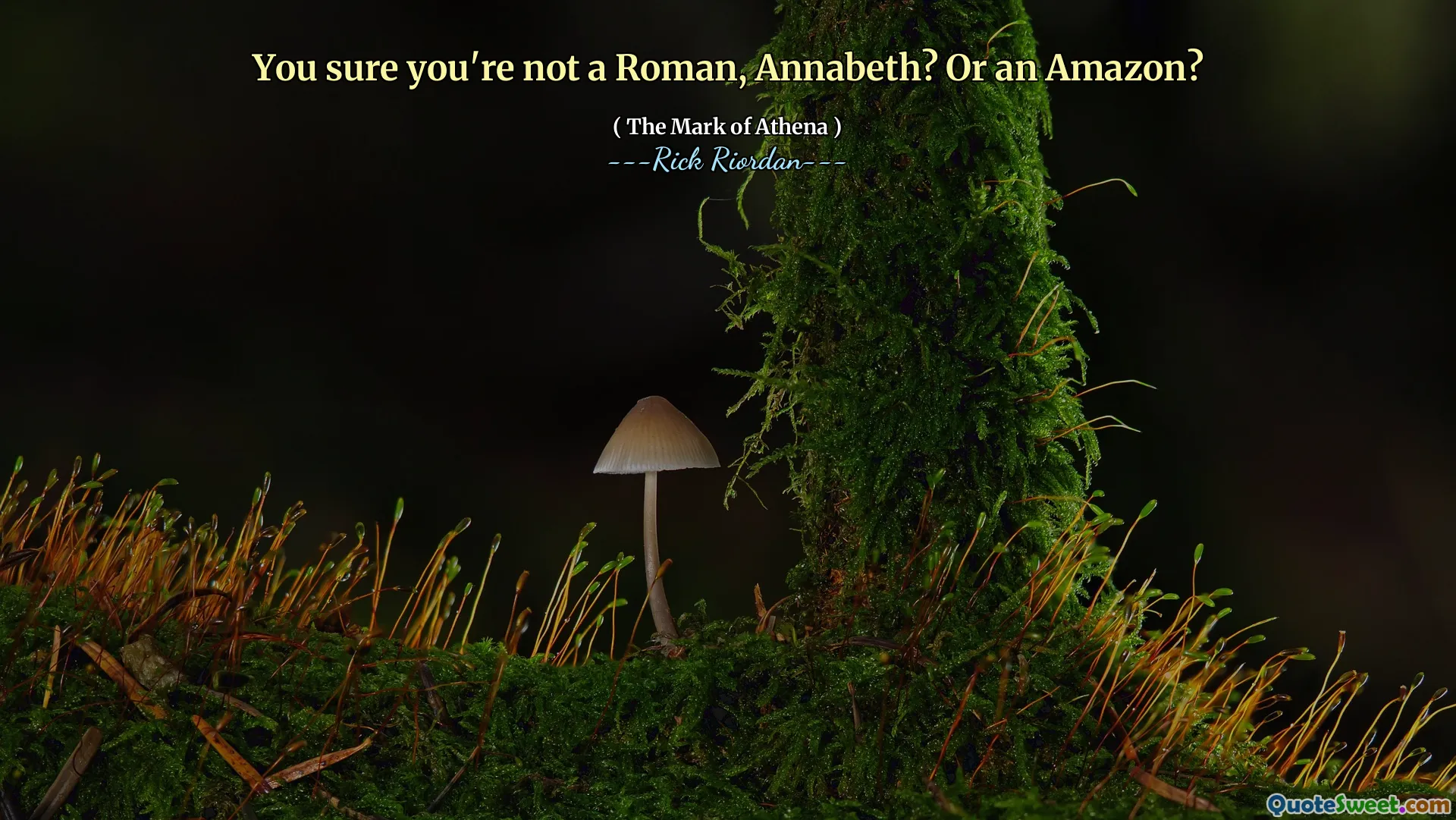 You sure you're not a Roman, Annabeth? Or an Amazon?