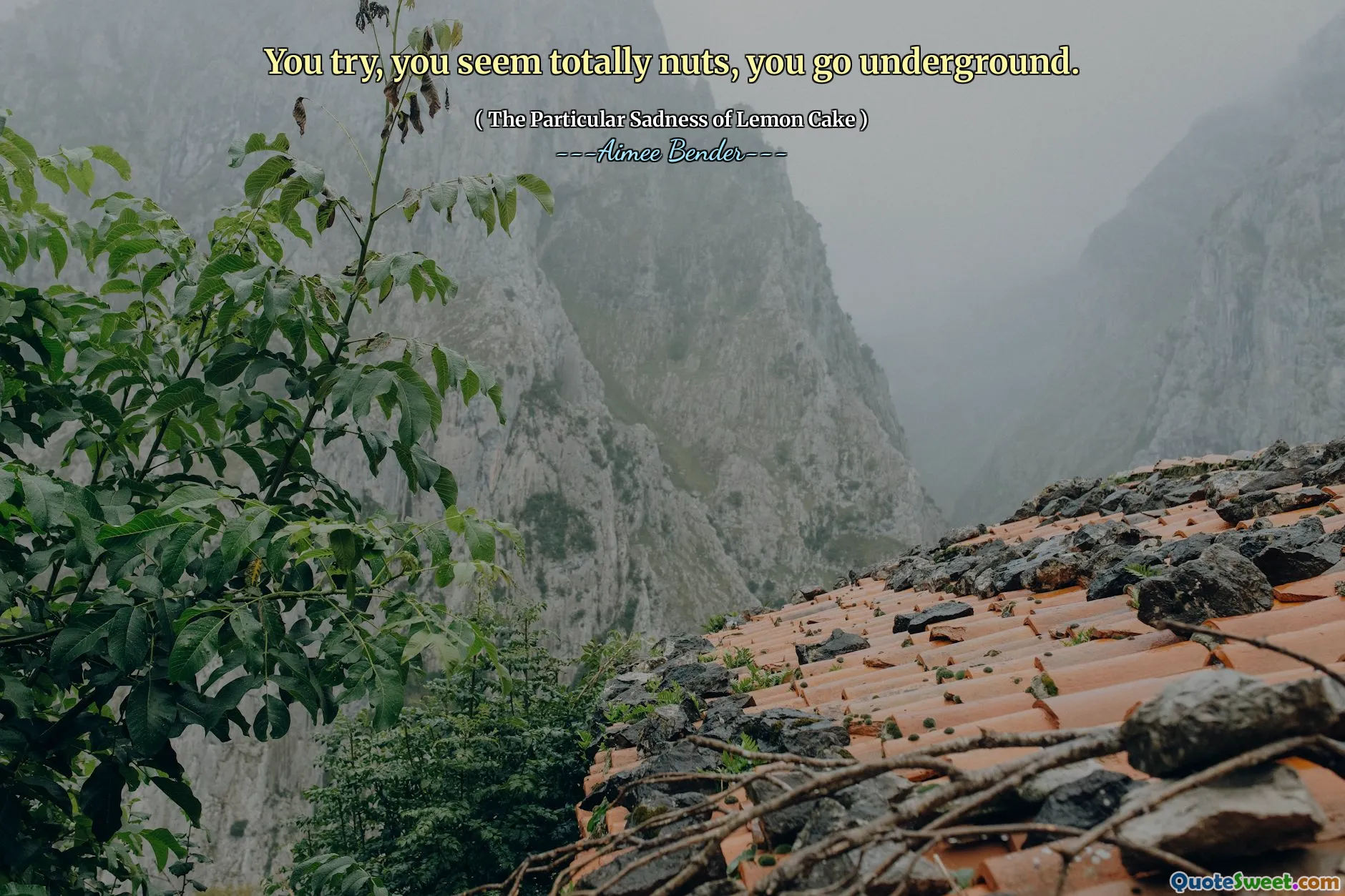 You try, you seem totally nuts, you go underground.