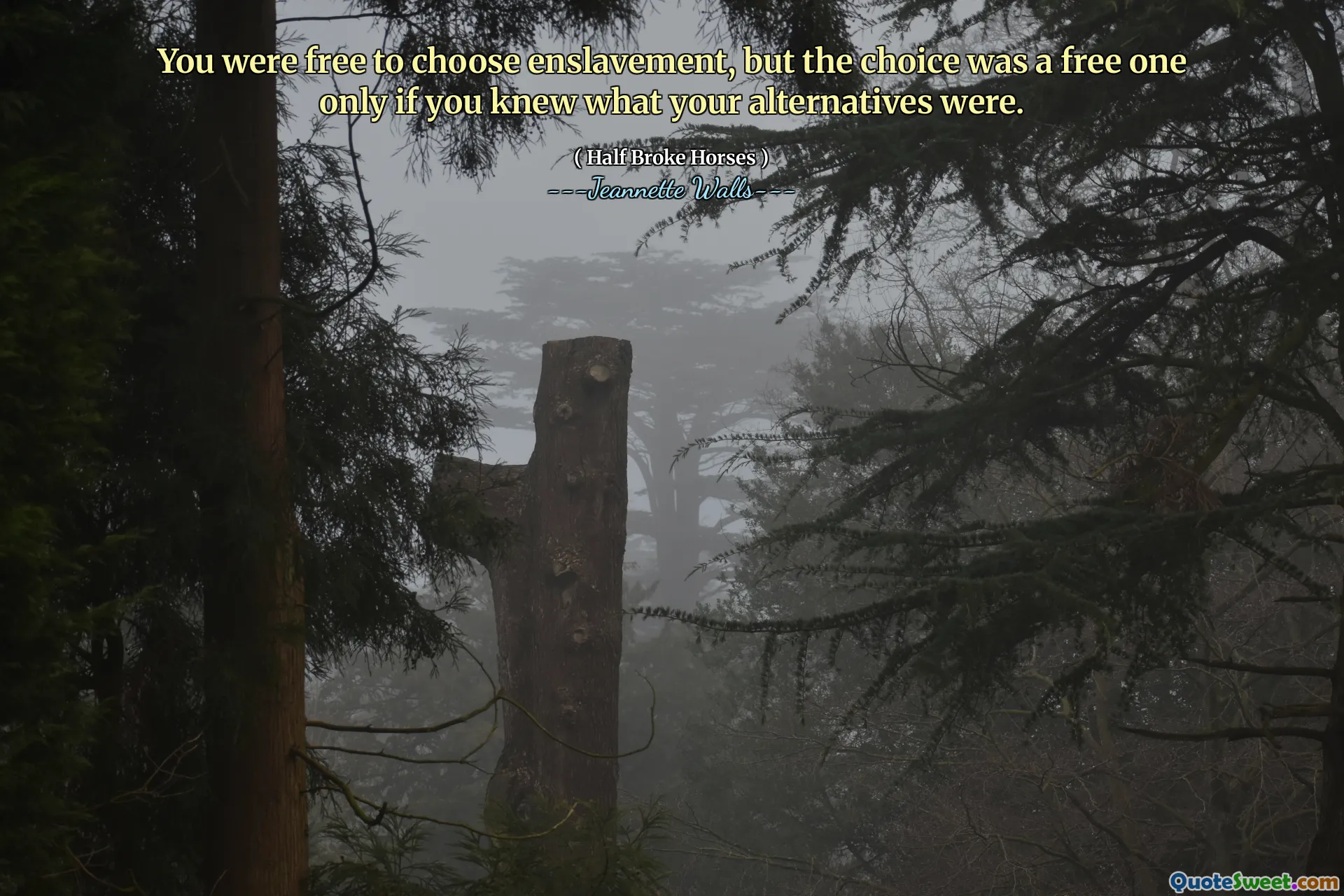 You were free to choose enslavement, but the choice was a free one only if you knew what your alternatives were.