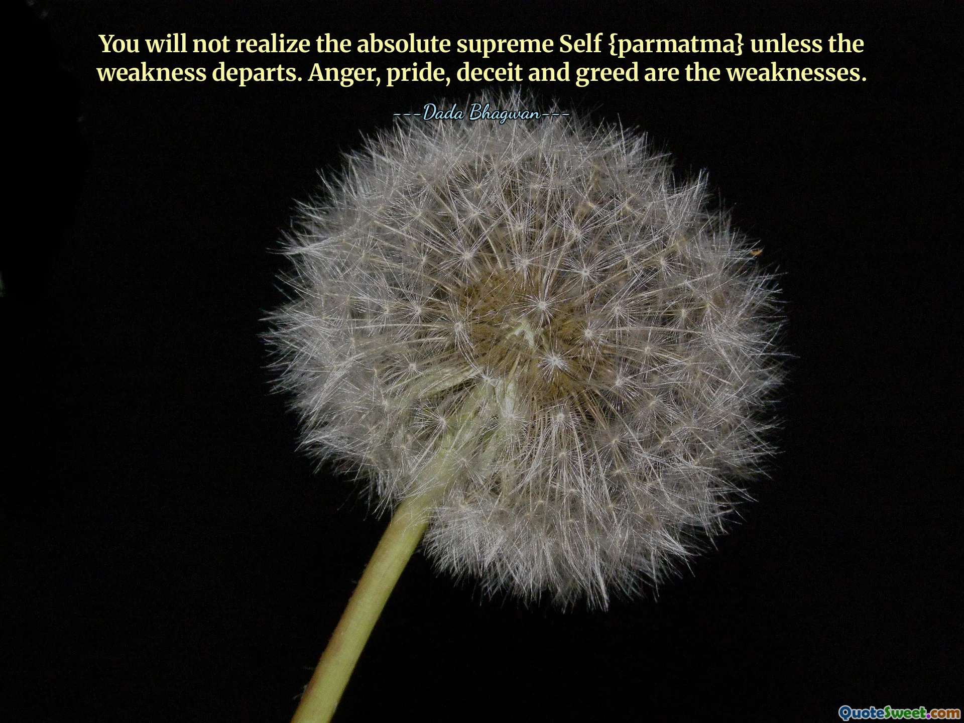 You will not realize the absolute supreme Self {parmatma} unless the weakness departs. Anger, pride, deceit and greed are the weaknesses.